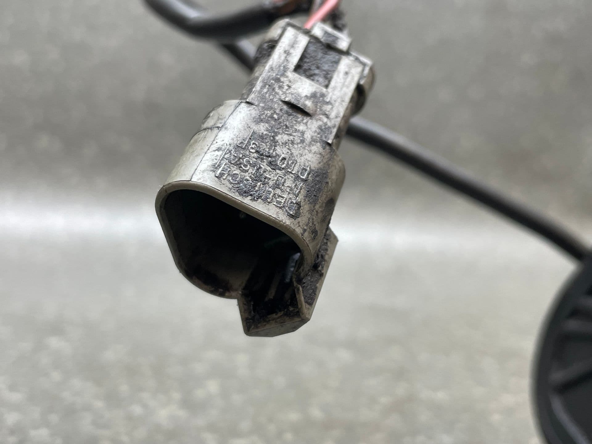 photo-1