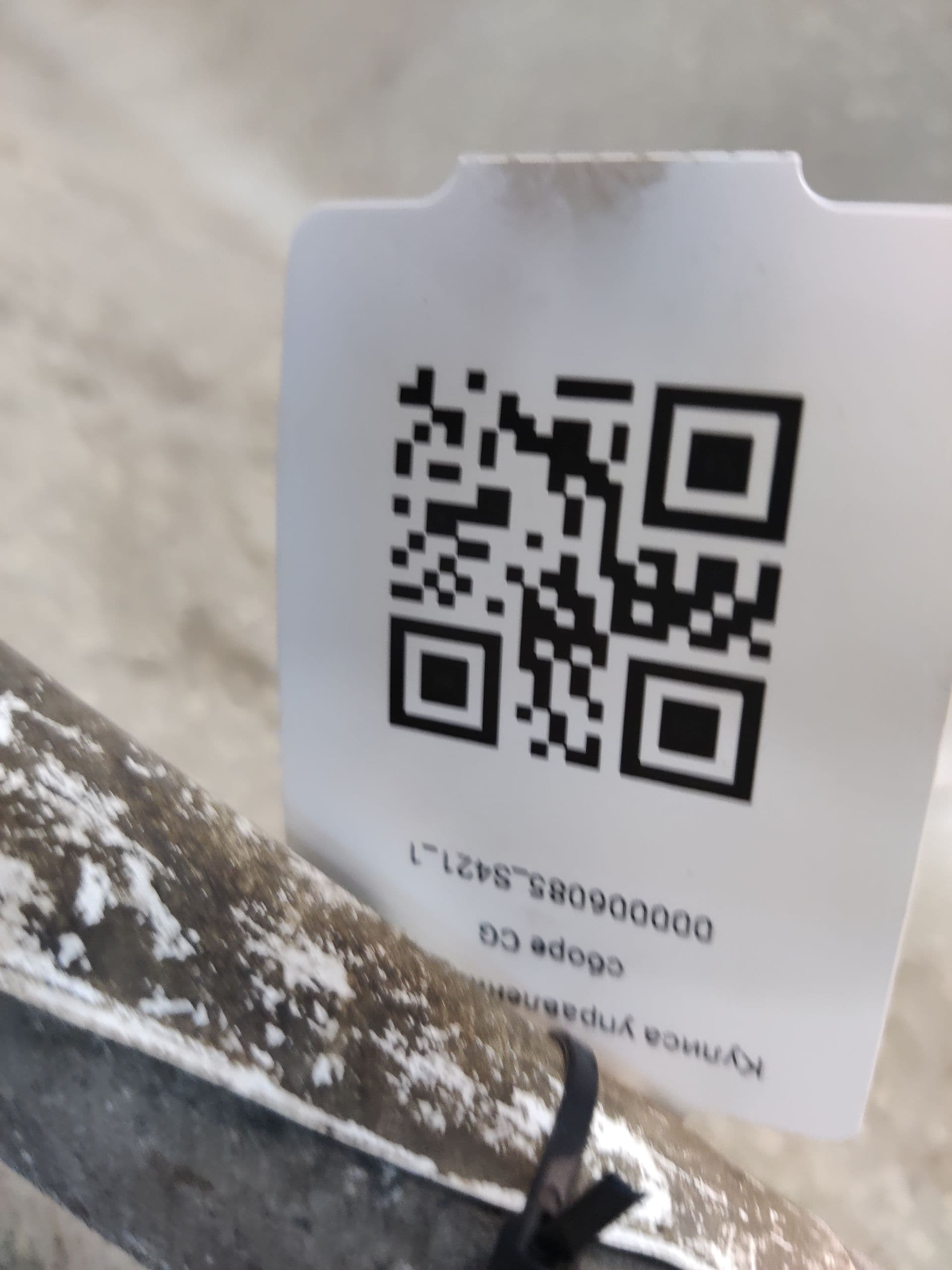 photo-1