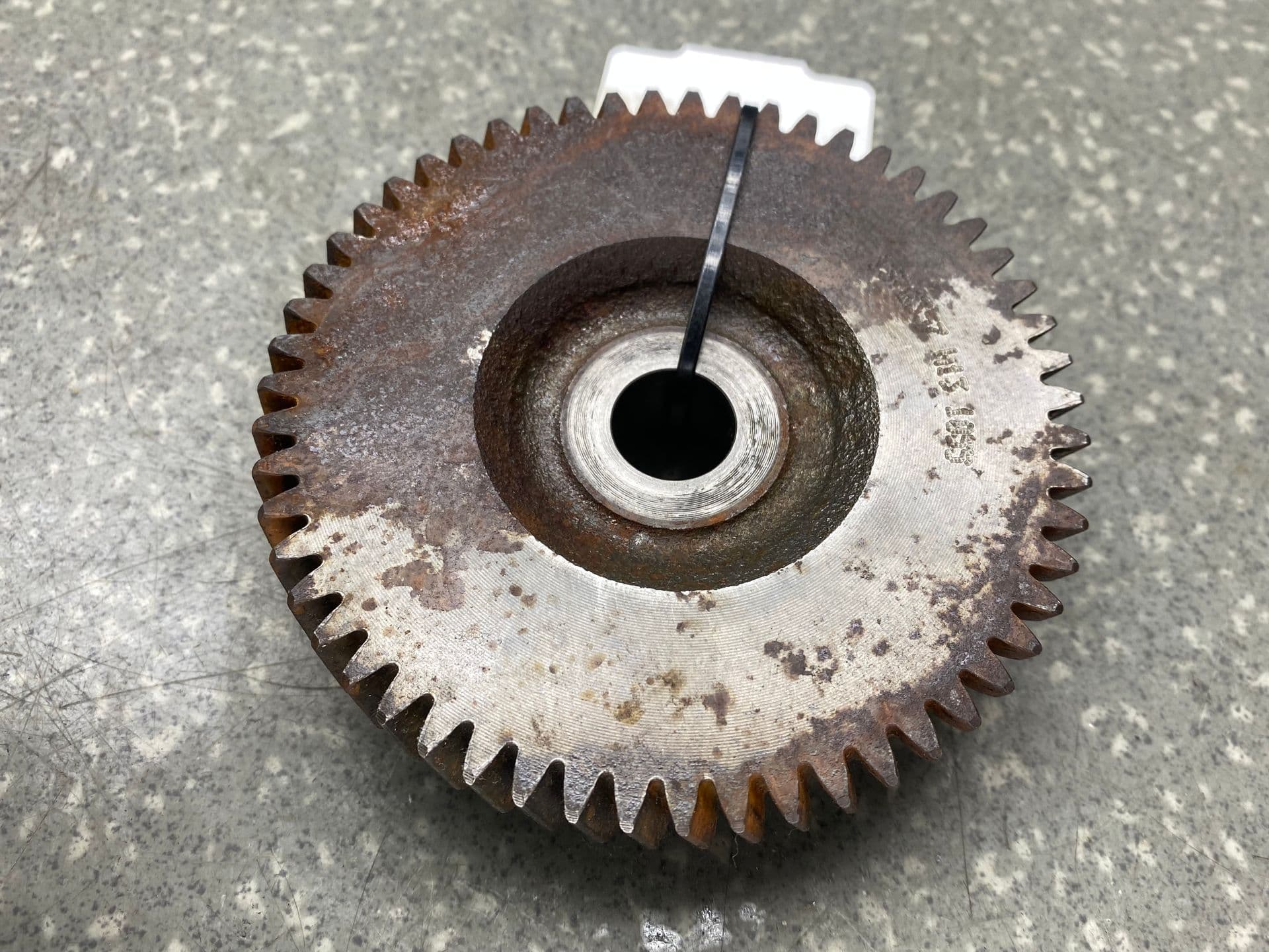 photo-1
