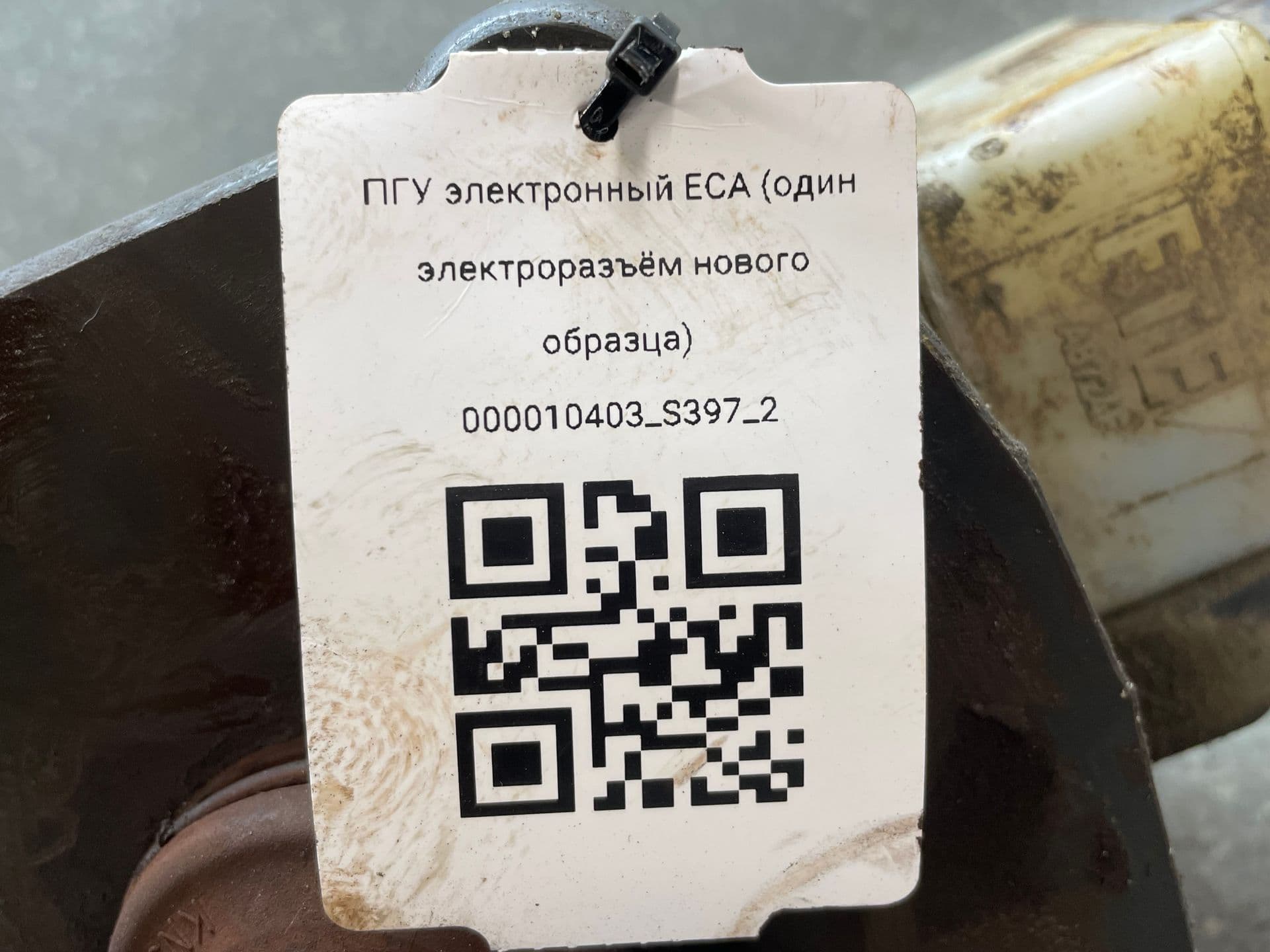 photo-8