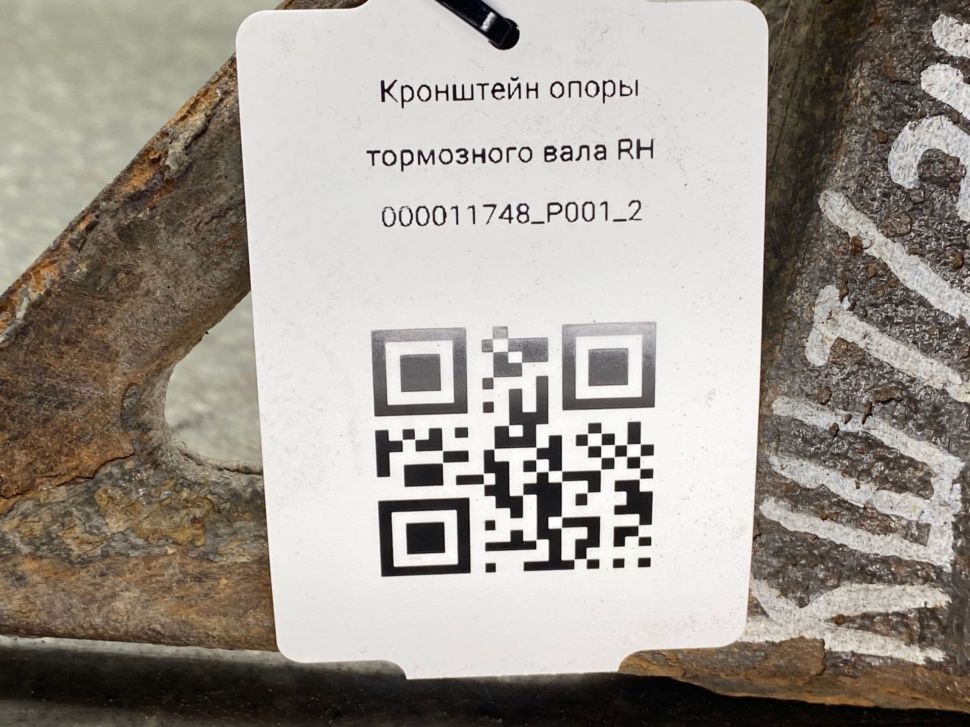 photo-3