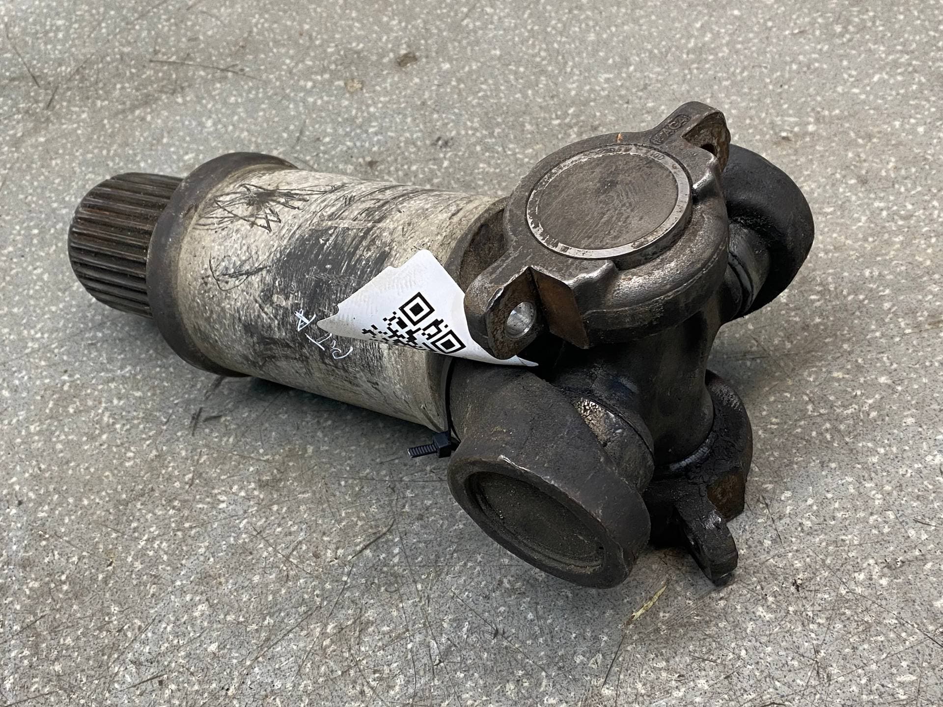 photo-1