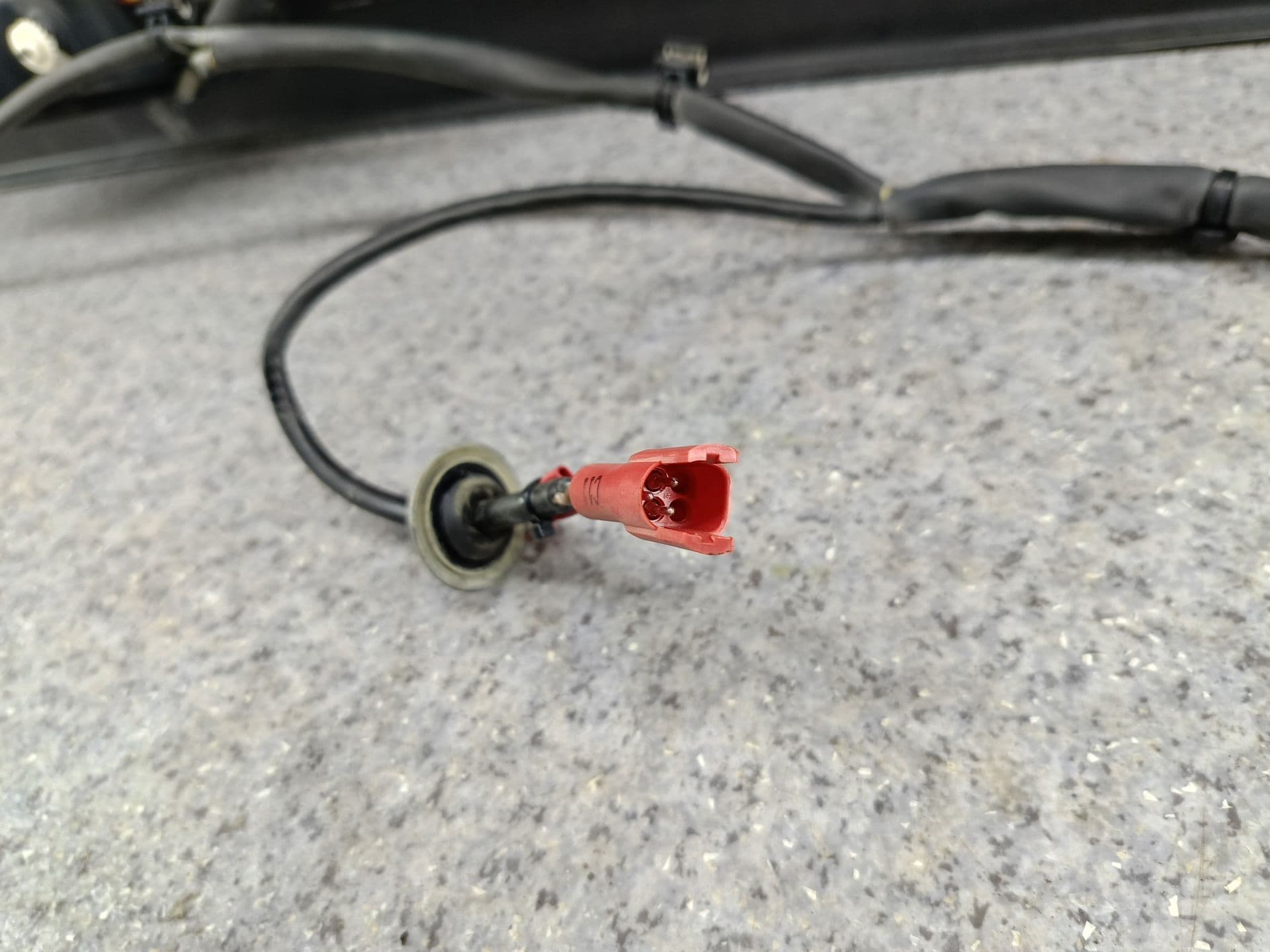 photo-10