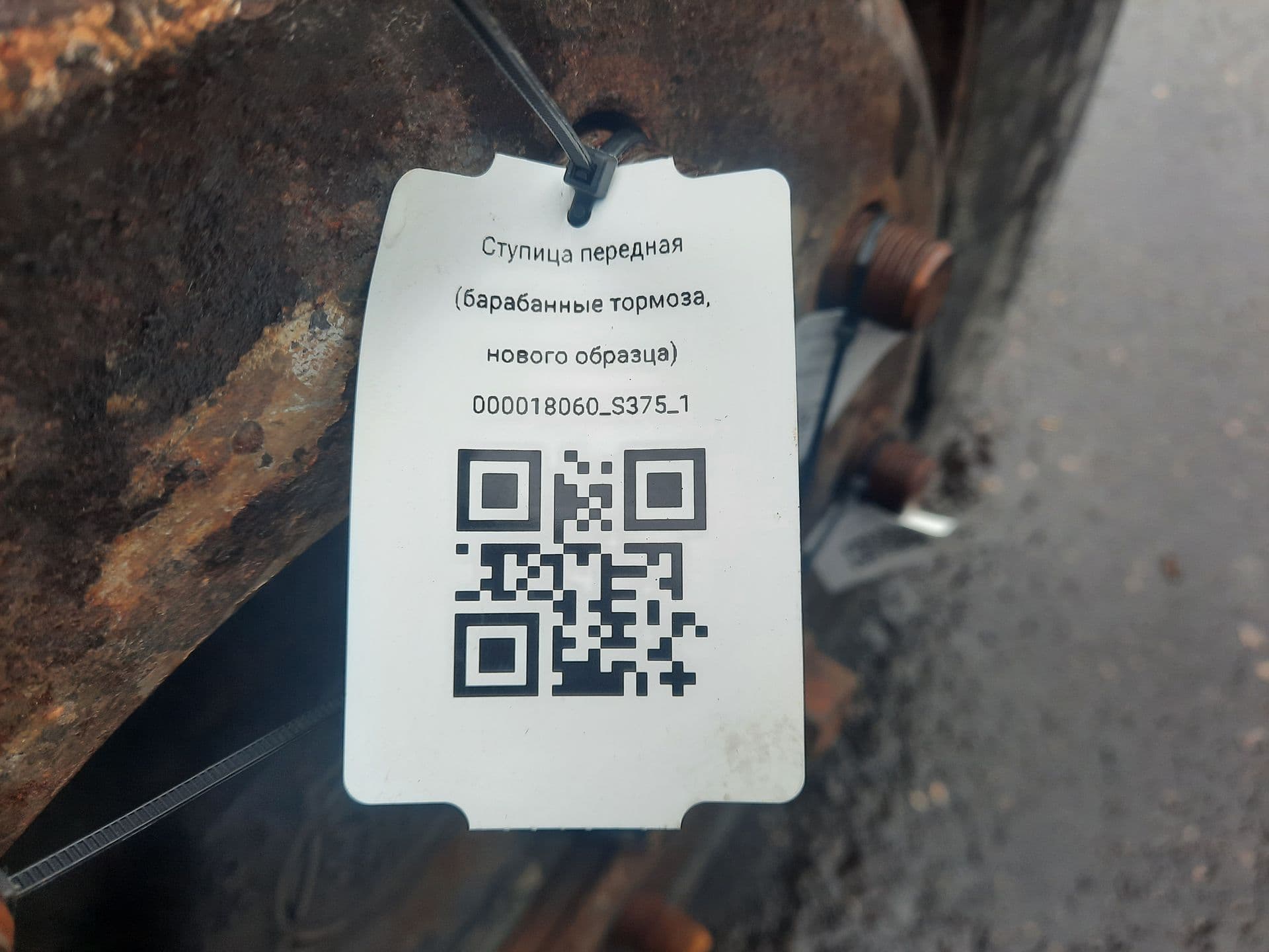 photo-1