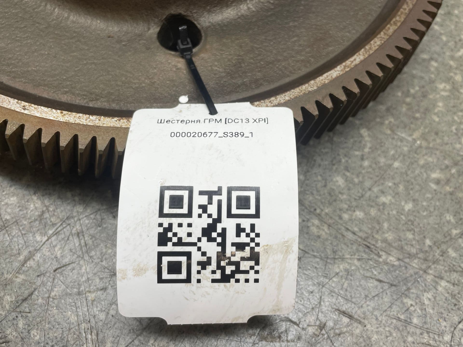 photo-6