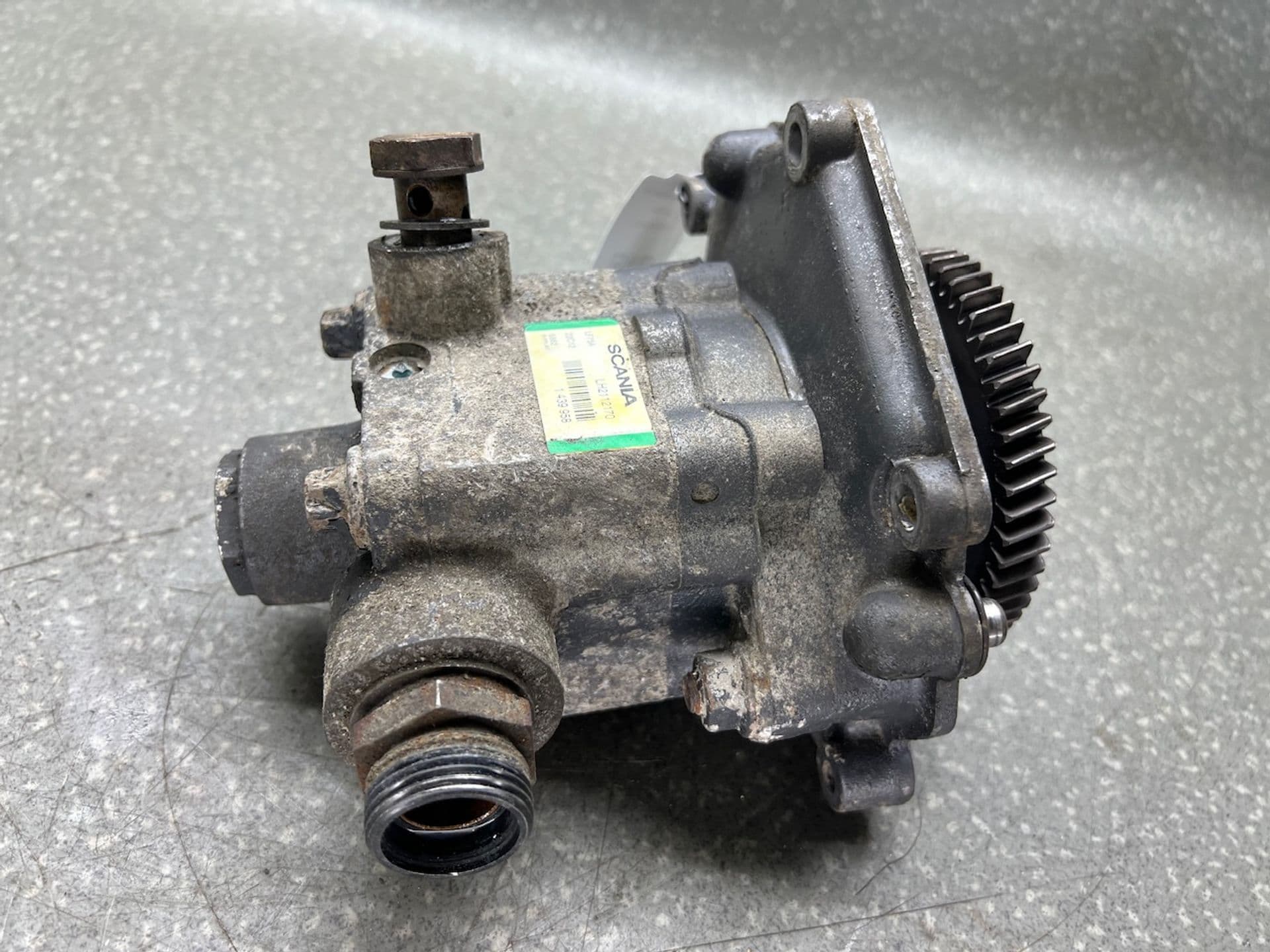 photo-1