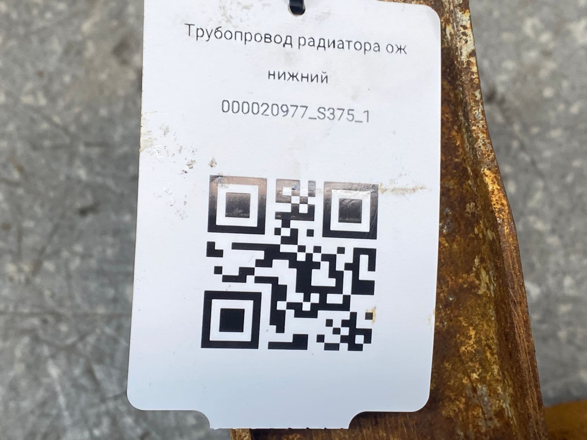 photo-2