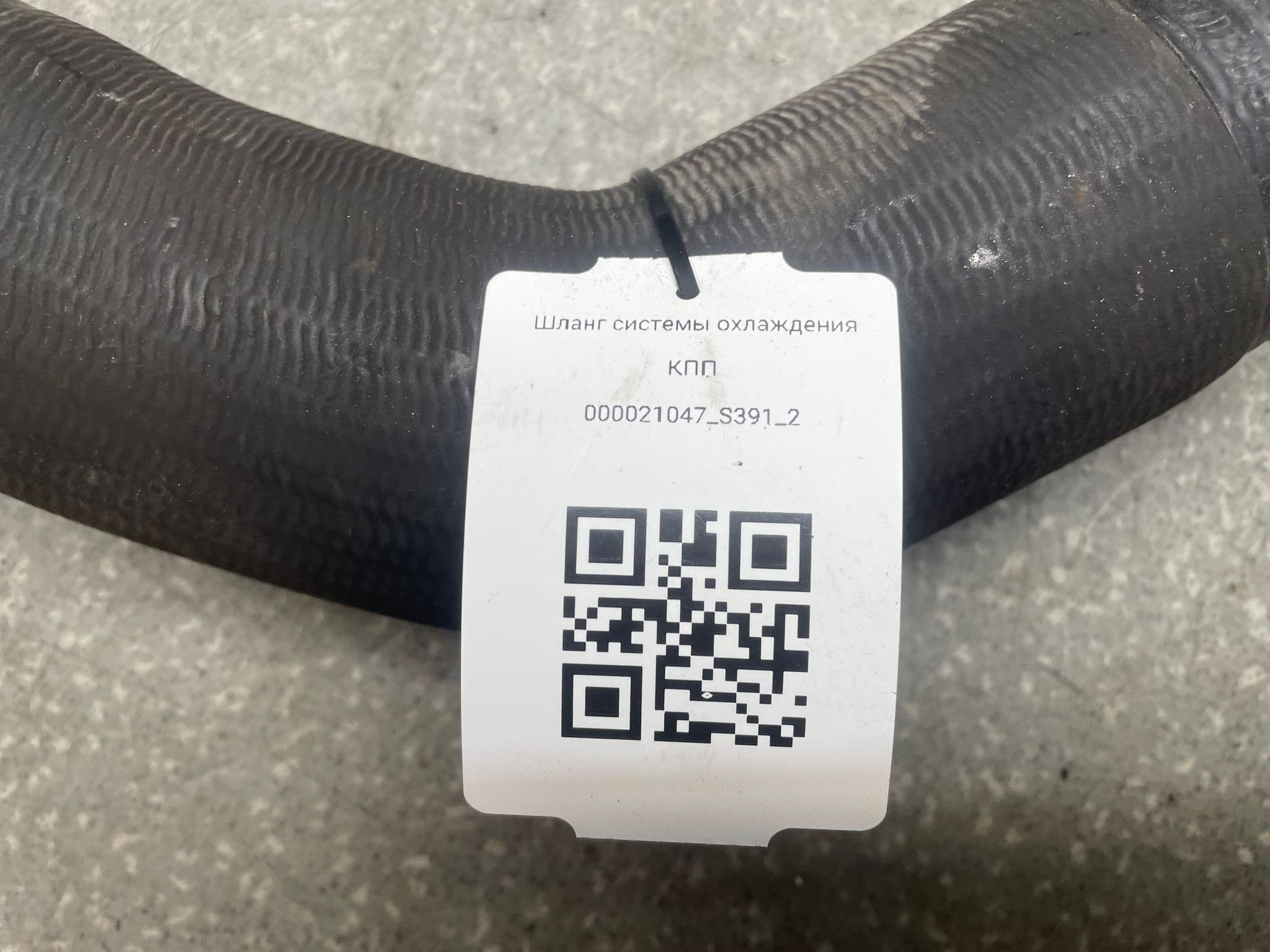 photo-1