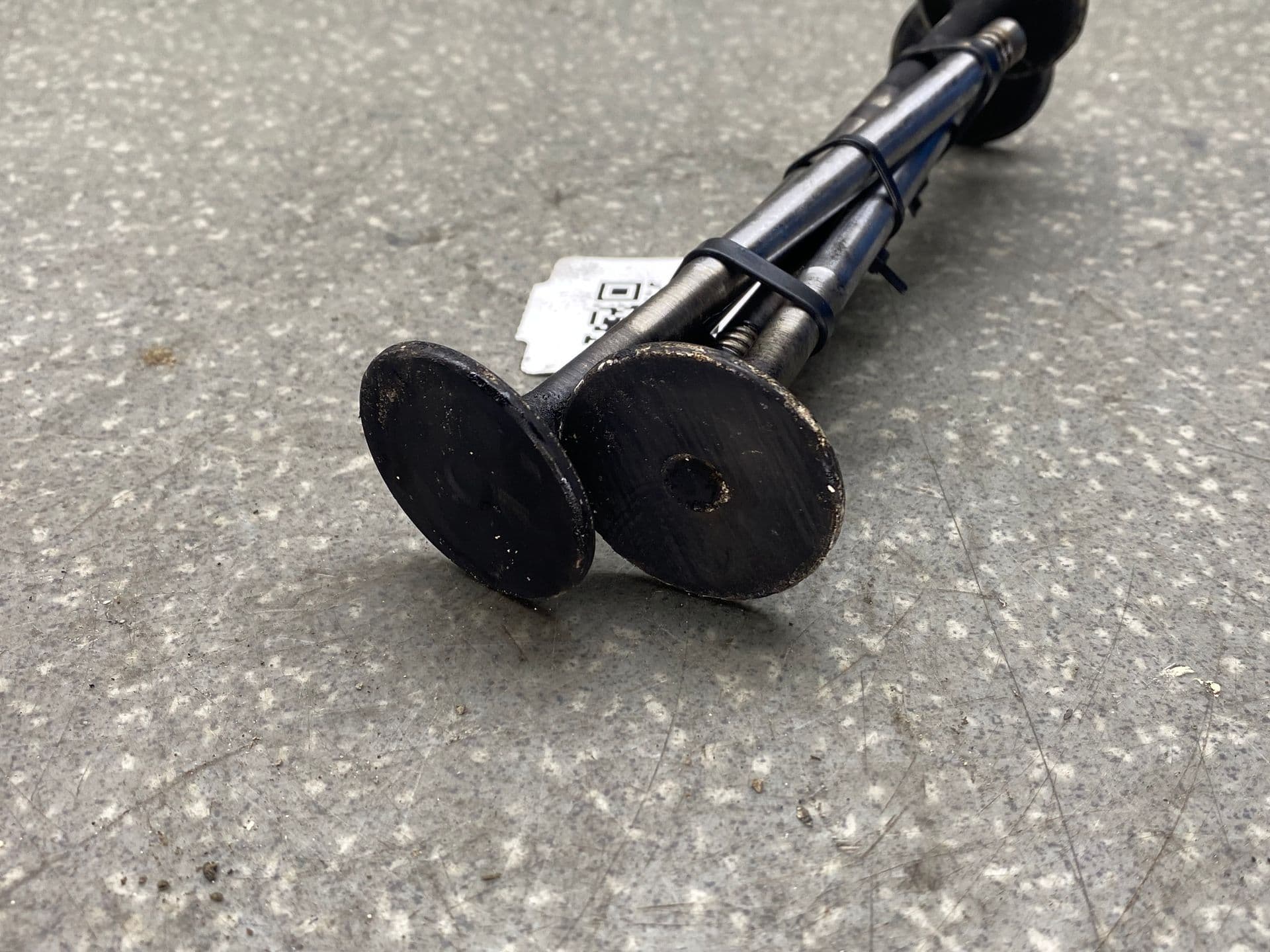 photo-1