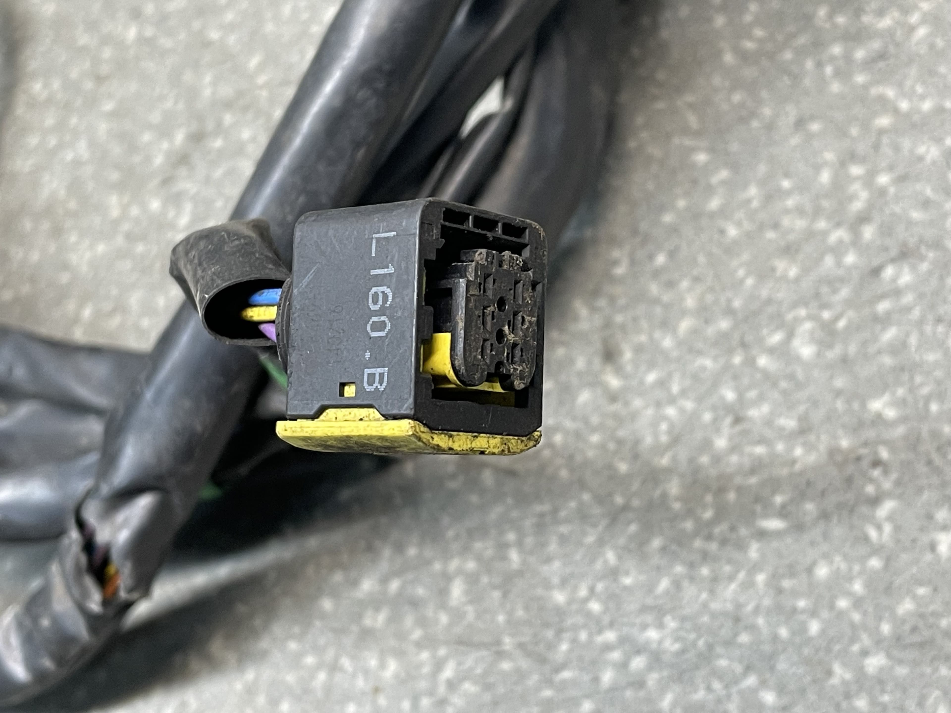 photo-1