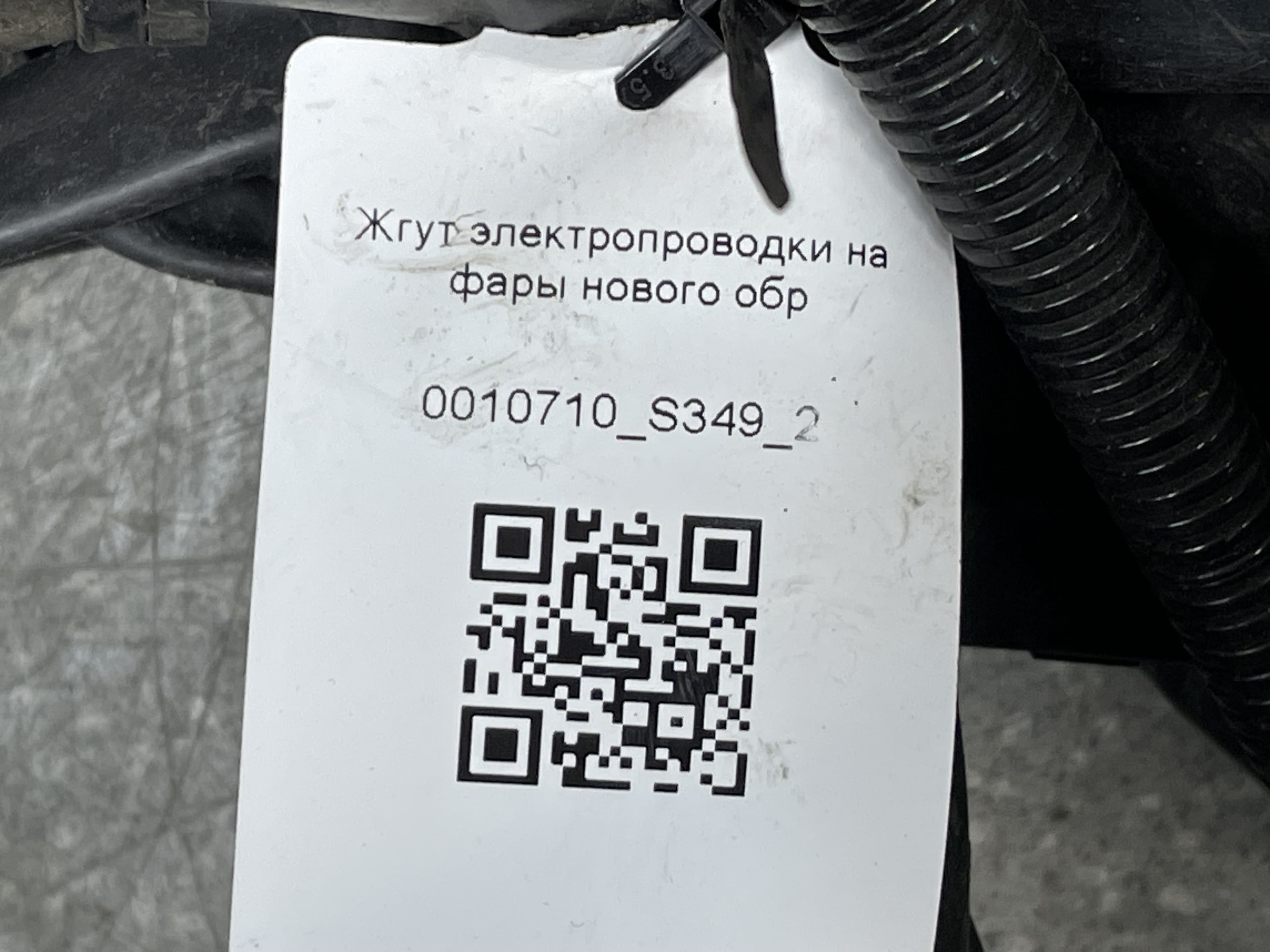 photo-8