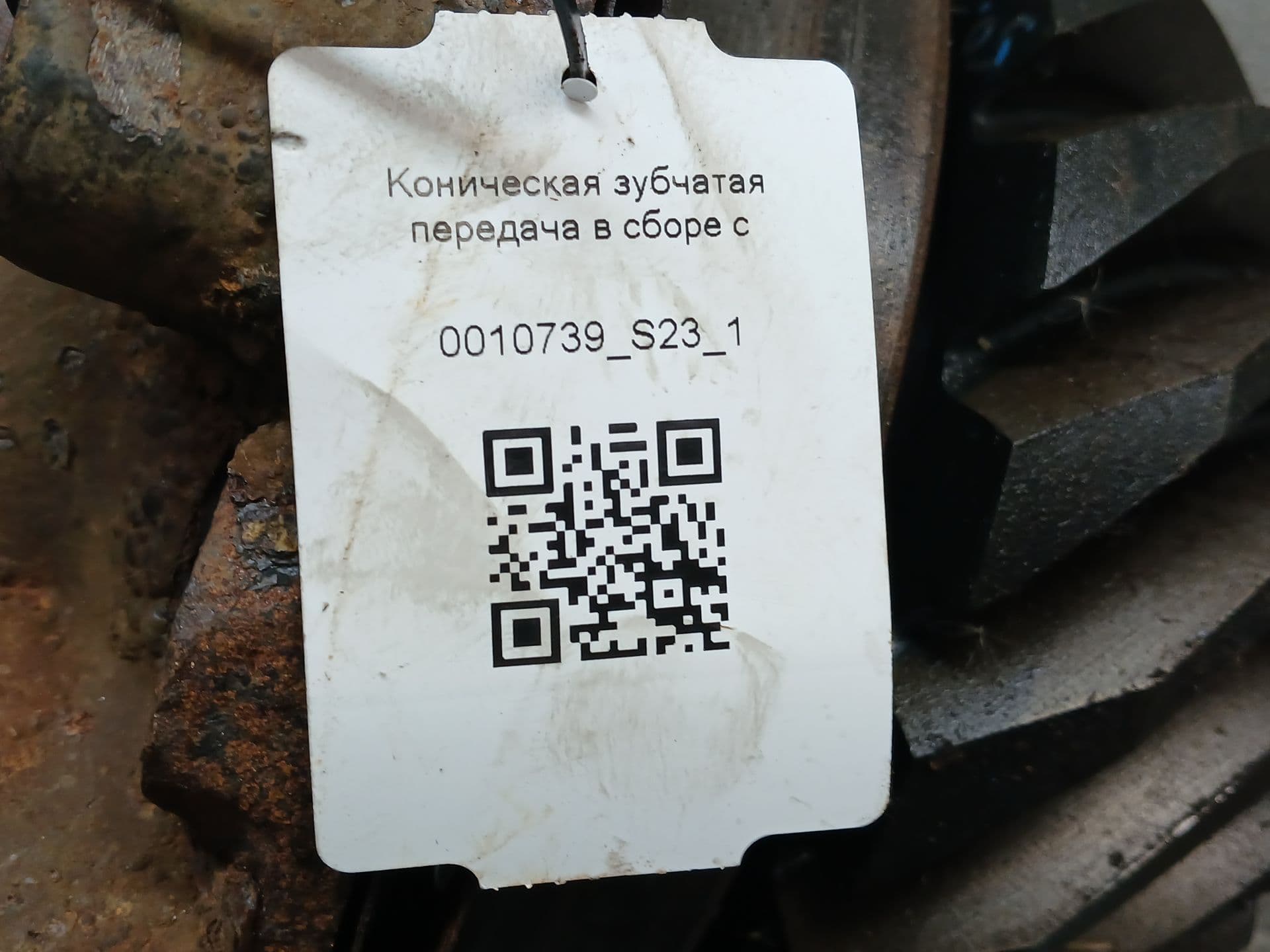 photo-2