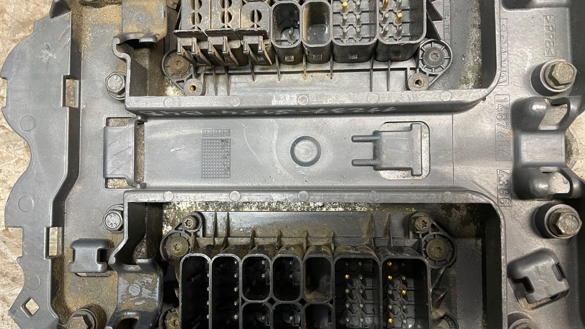 photo-3