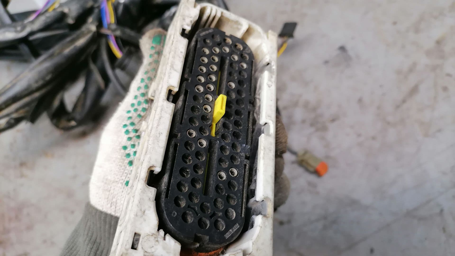 photo-1