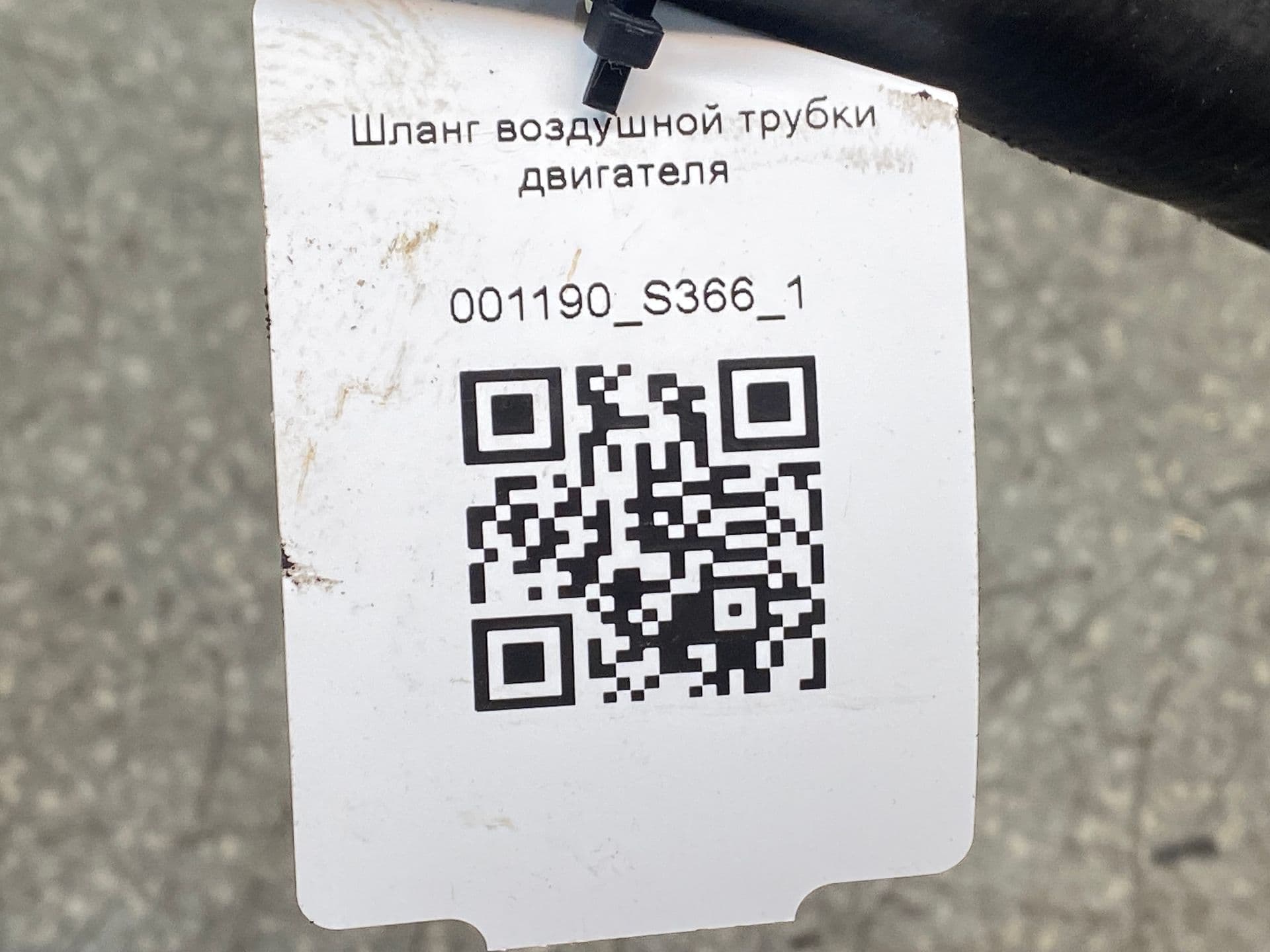 photo-3