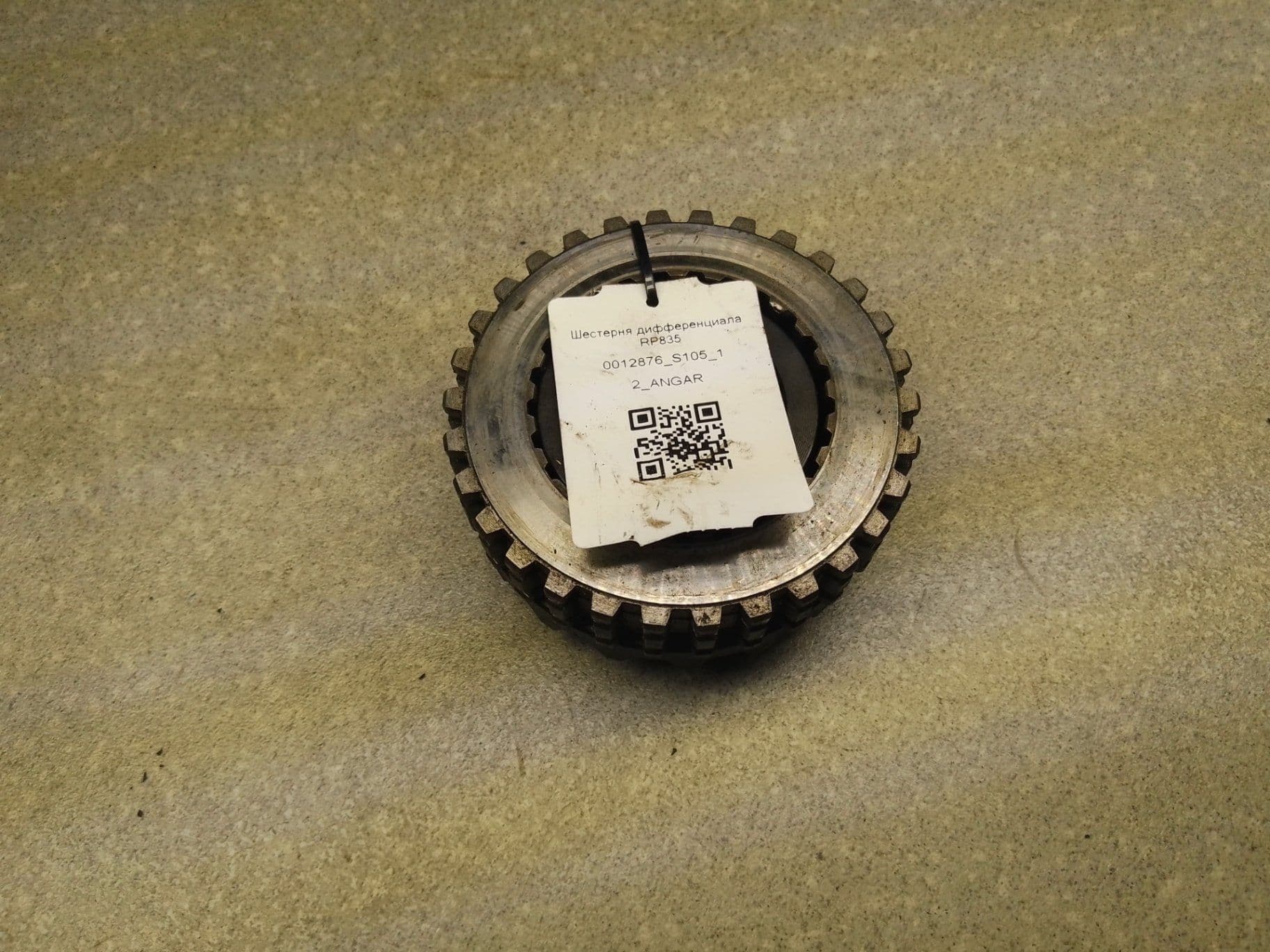 photo-1