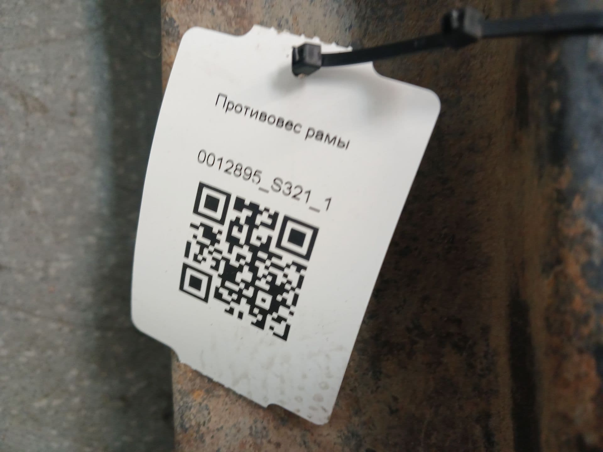 photo-11