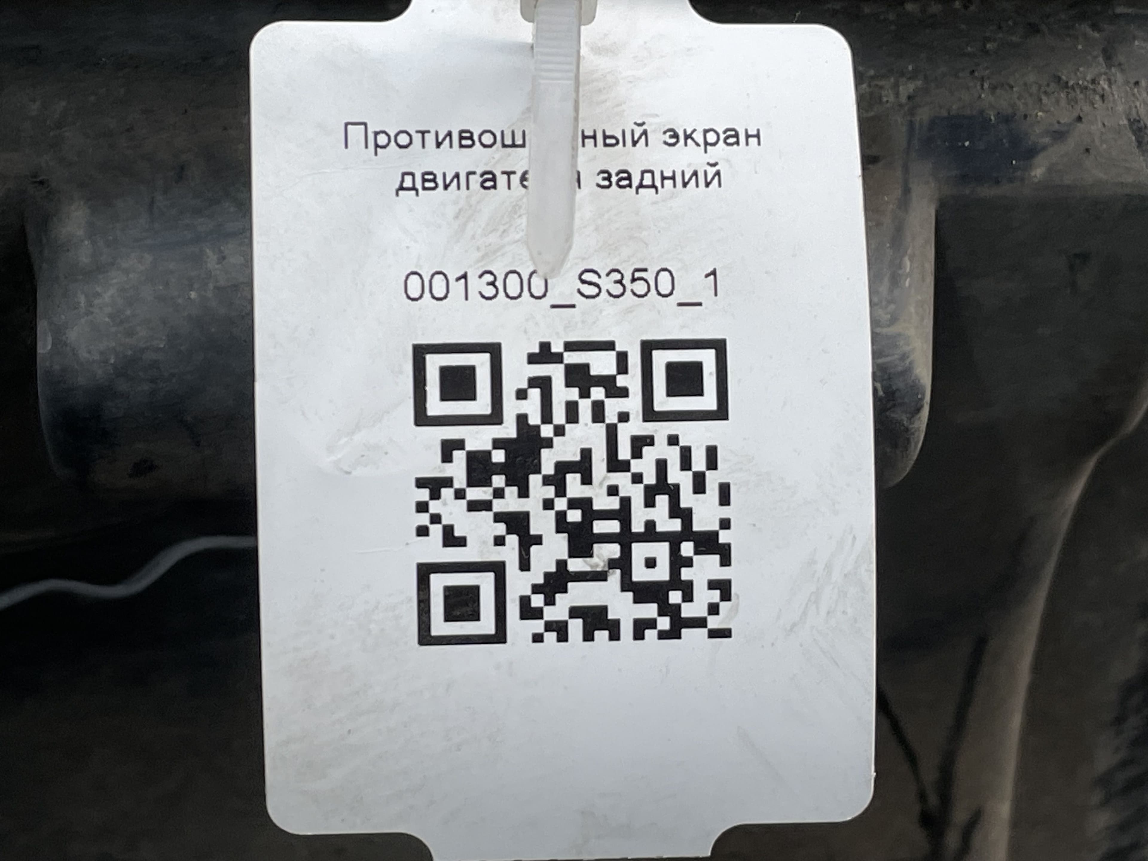 photo-5