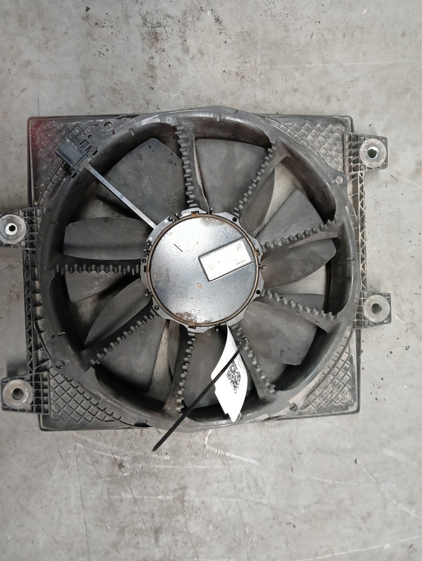 photo-1
