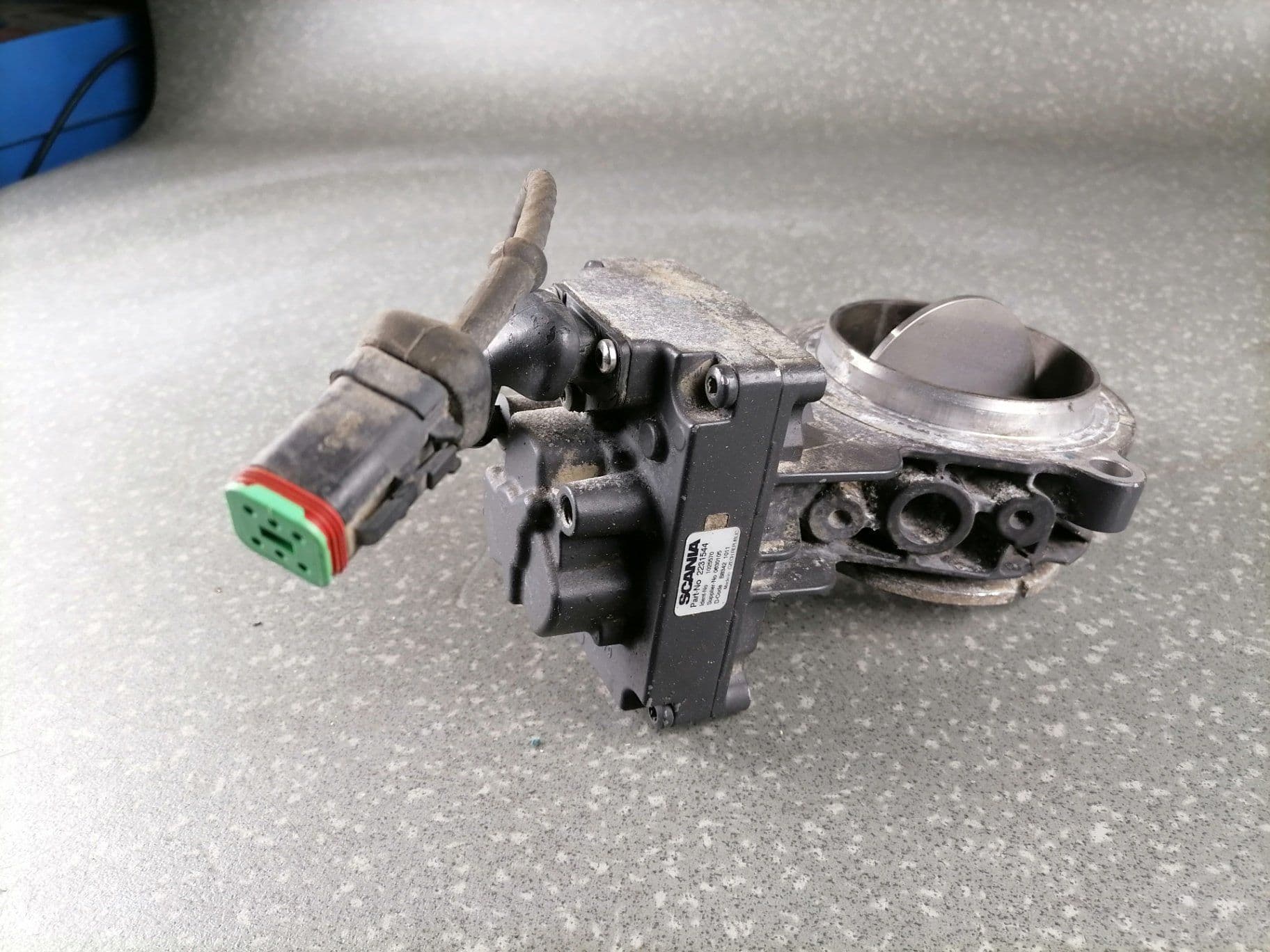 photo-1