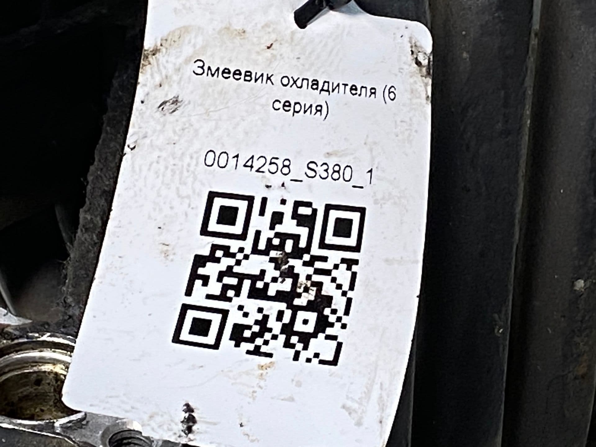 photo-2