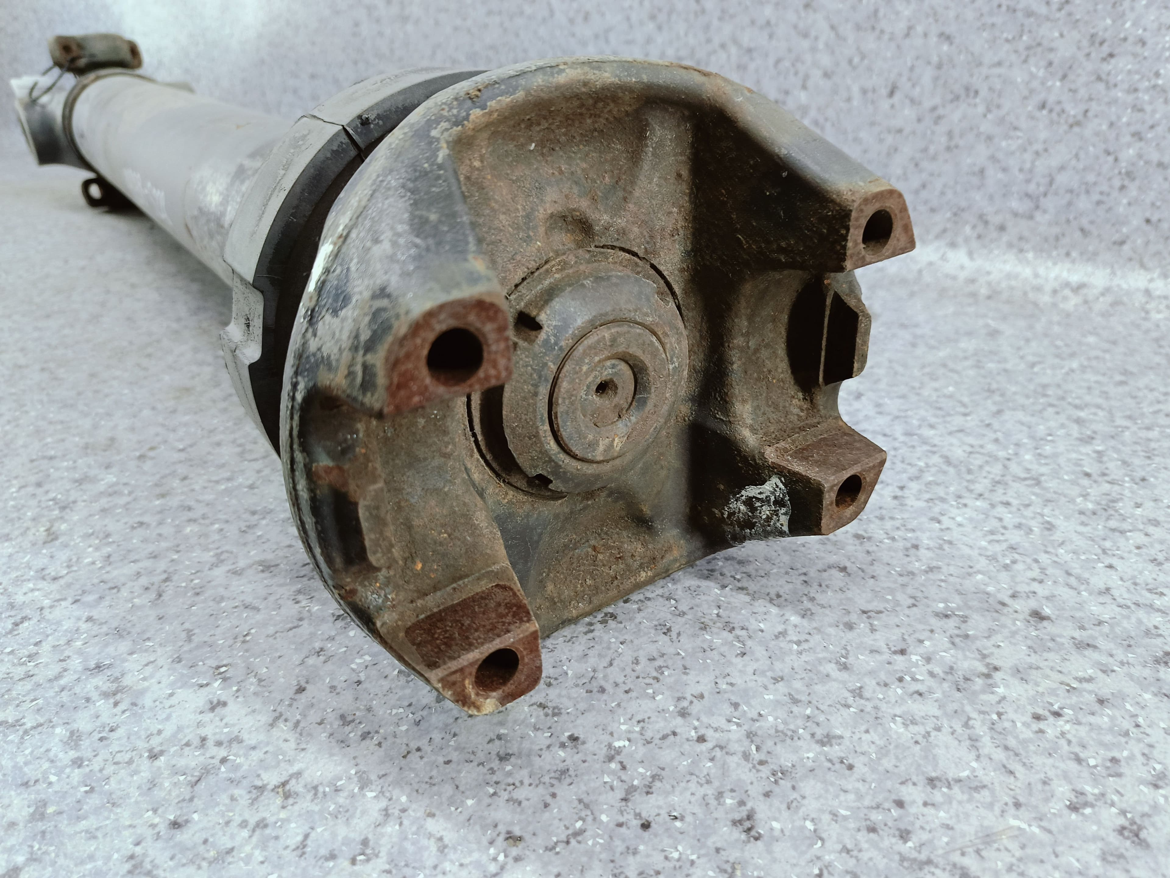 photo-1