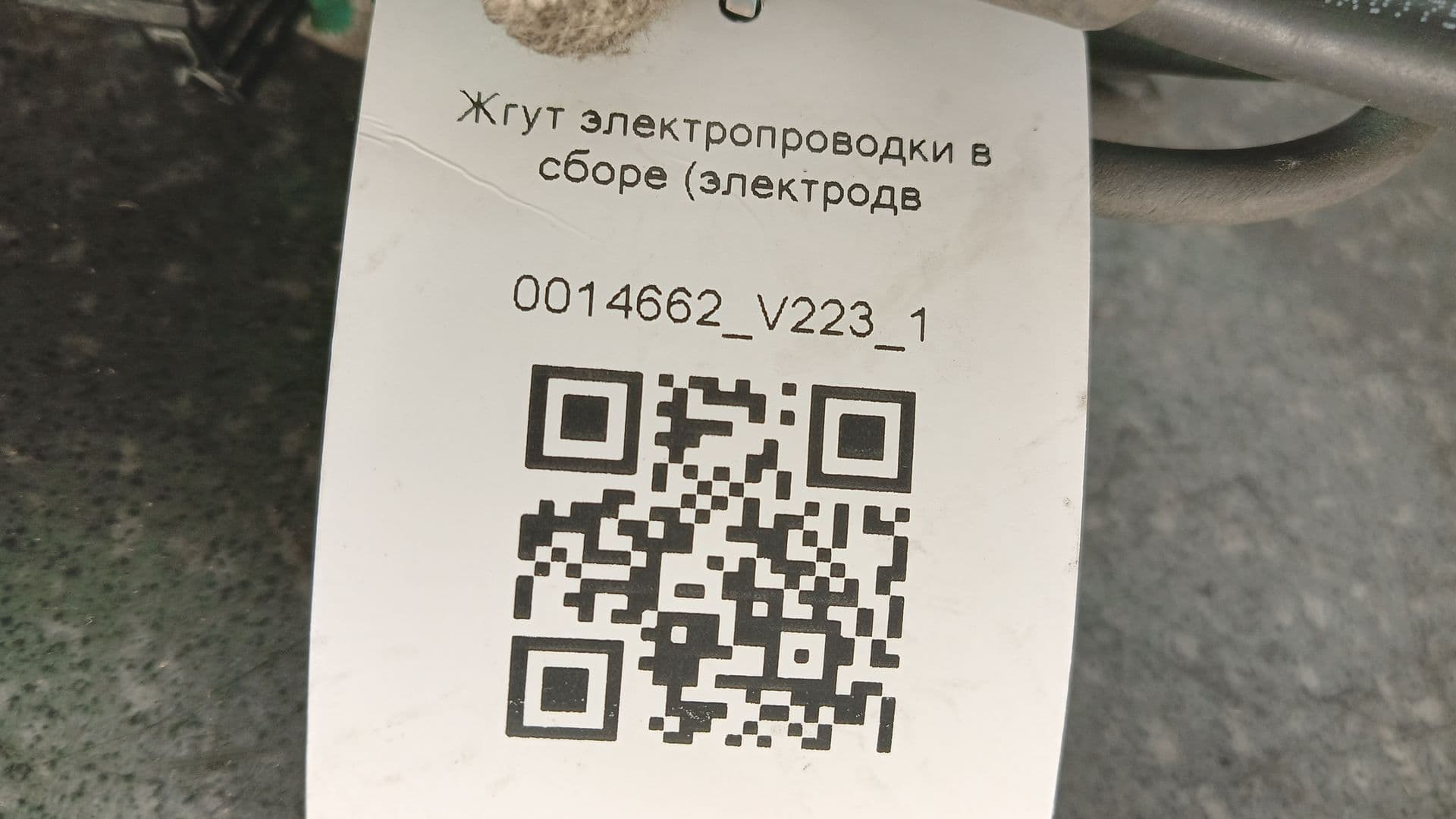 photo-6