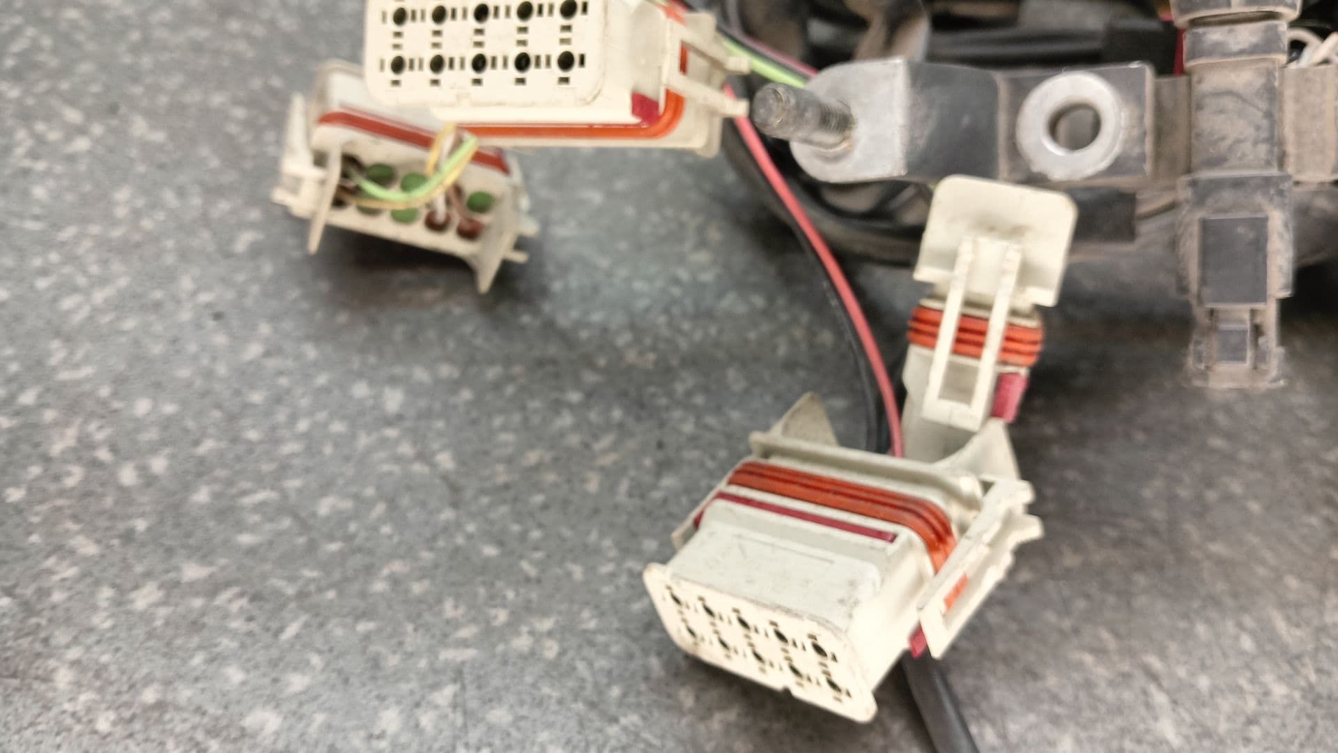 photo-4