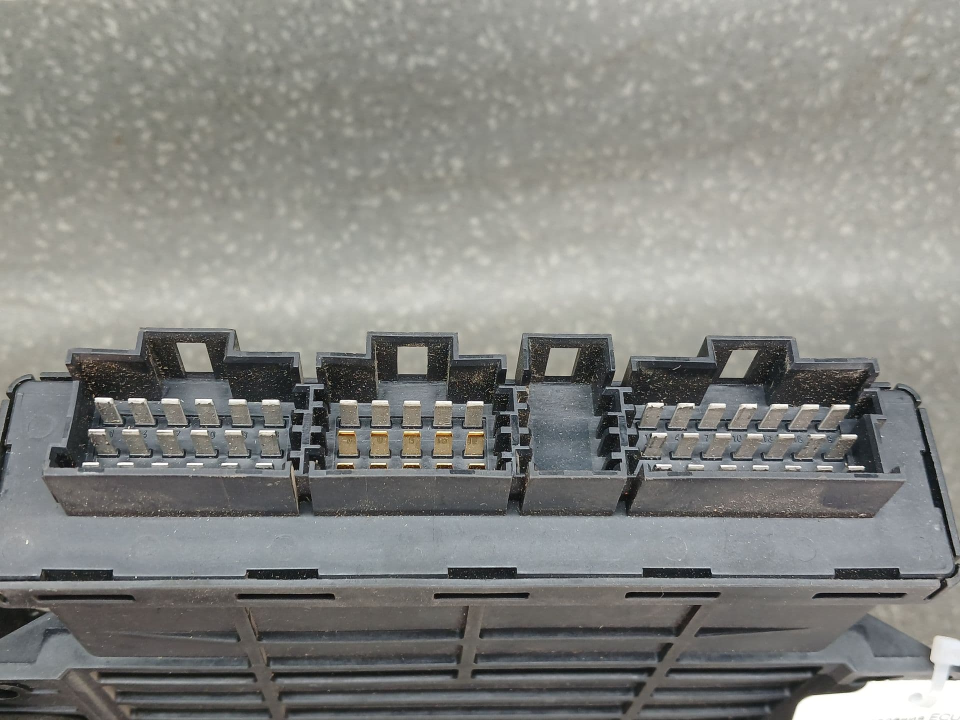 photo-1