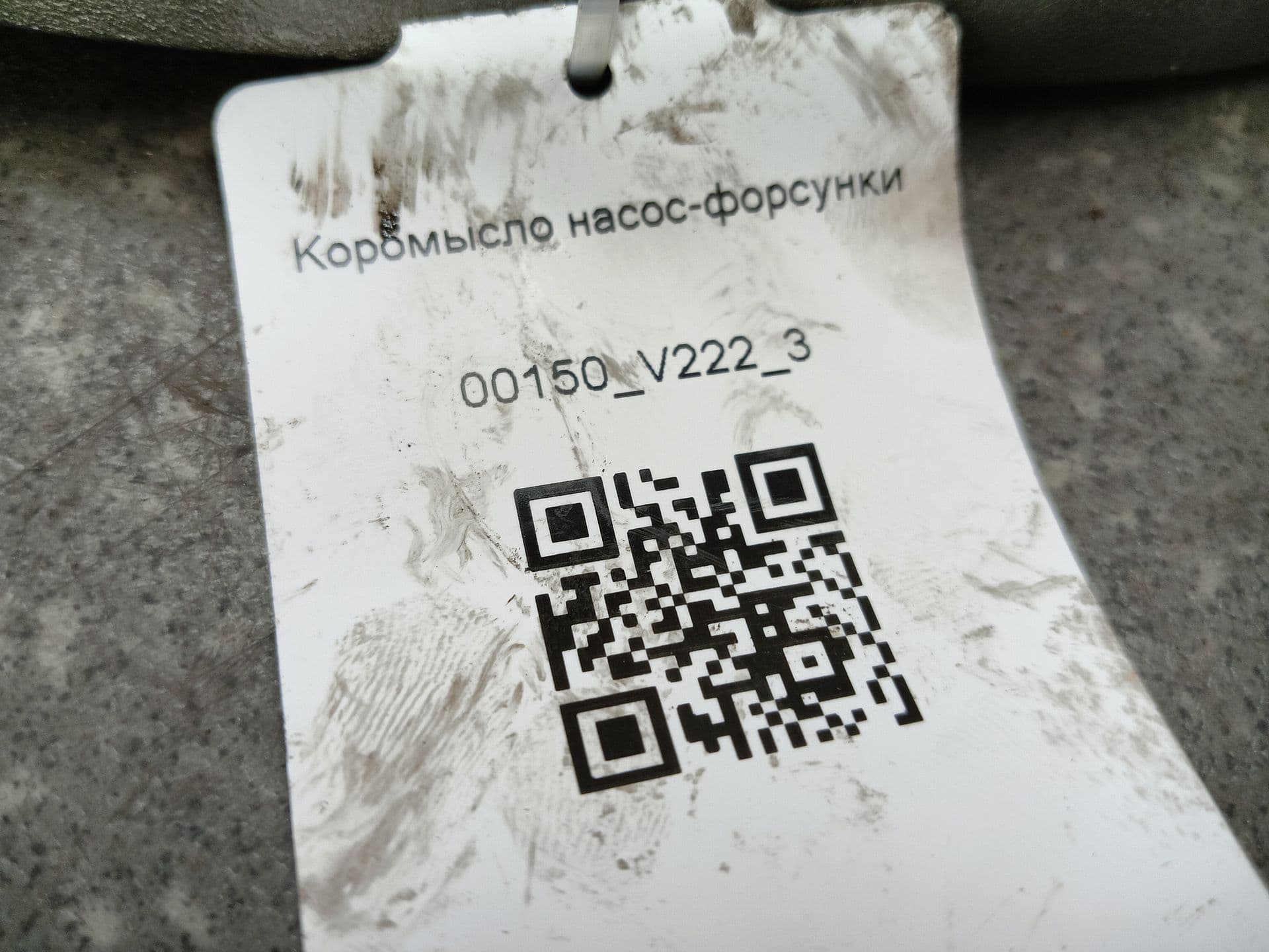 photo-7