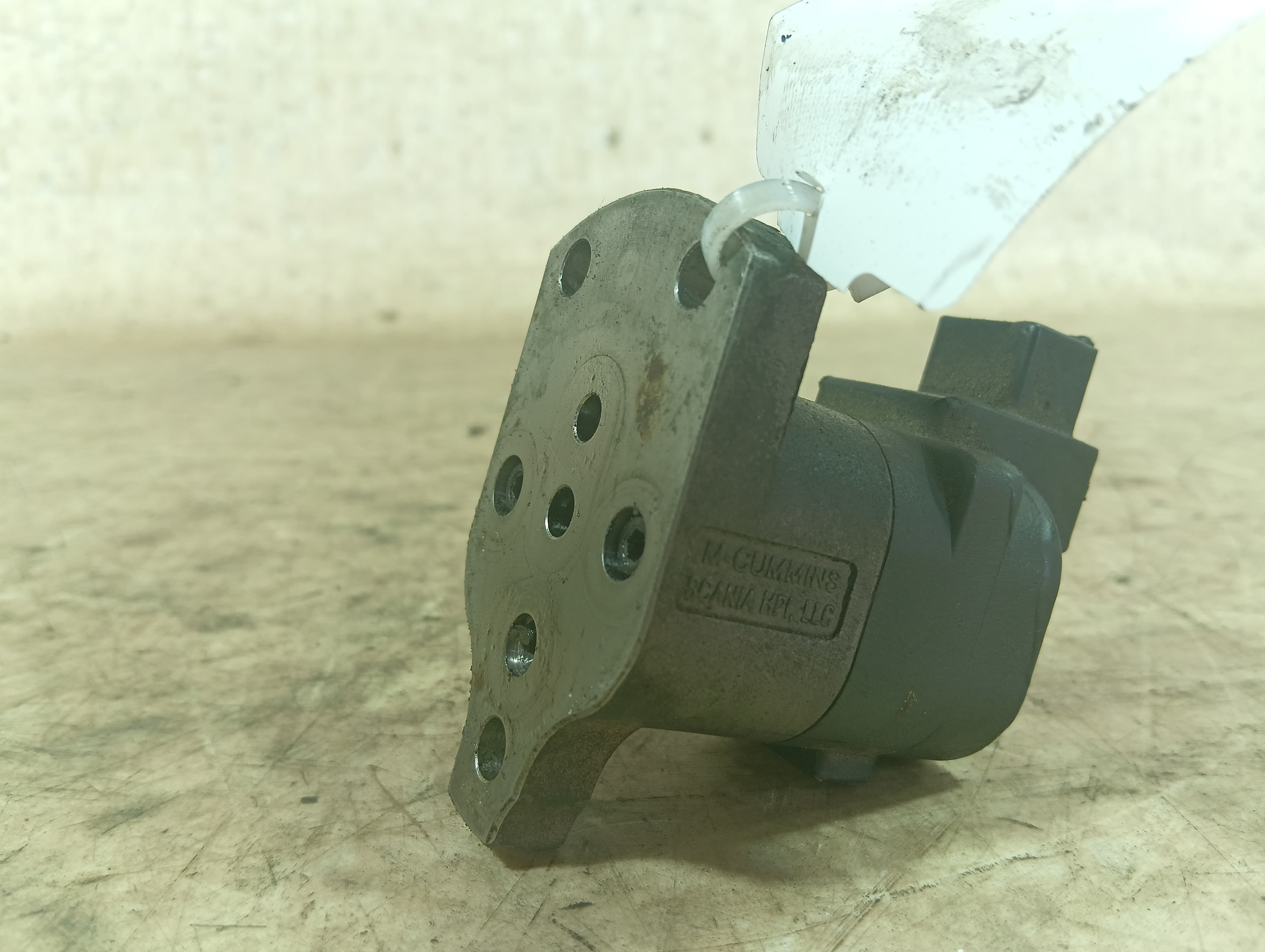 photo-1