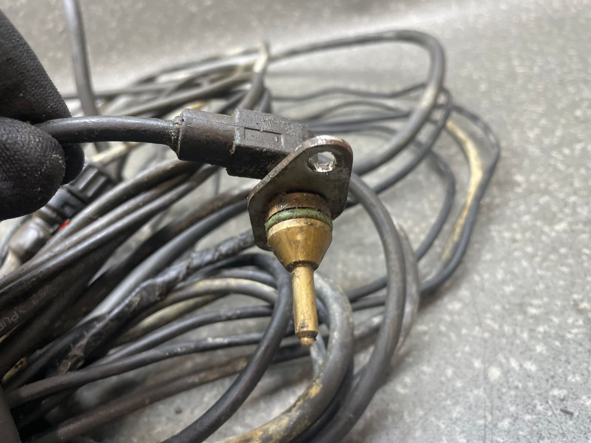 photo-6