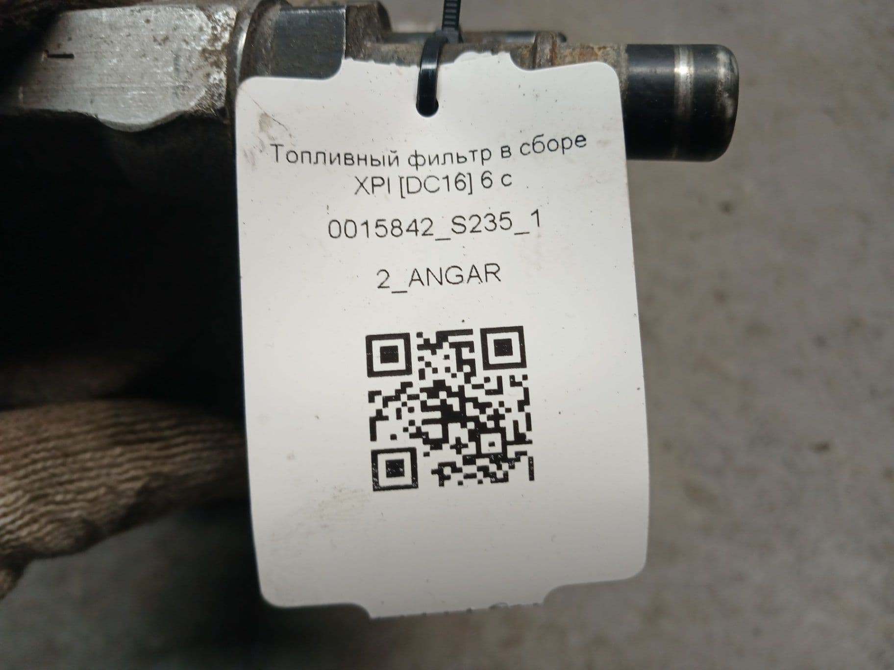 photo-1