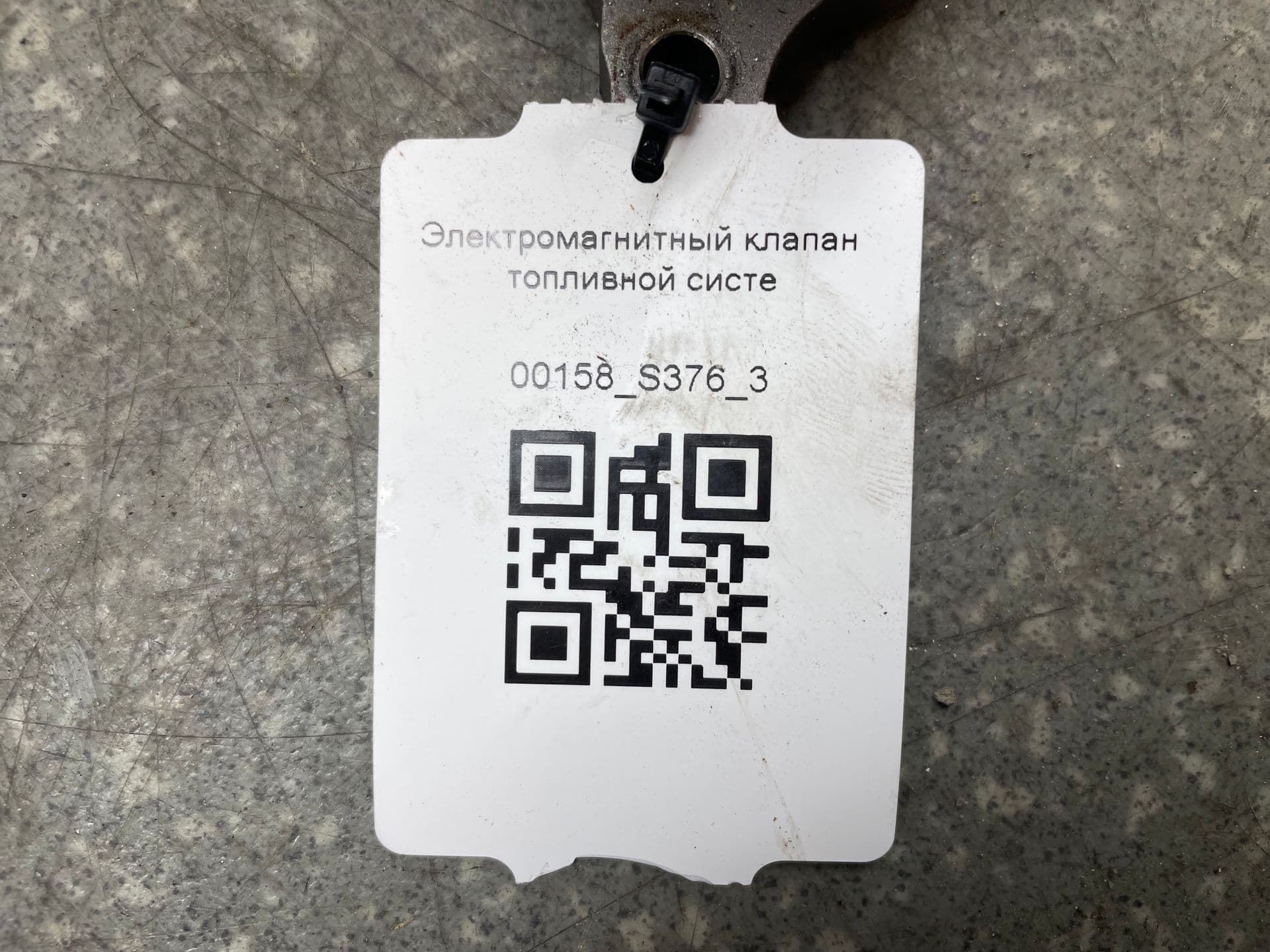 photo-1