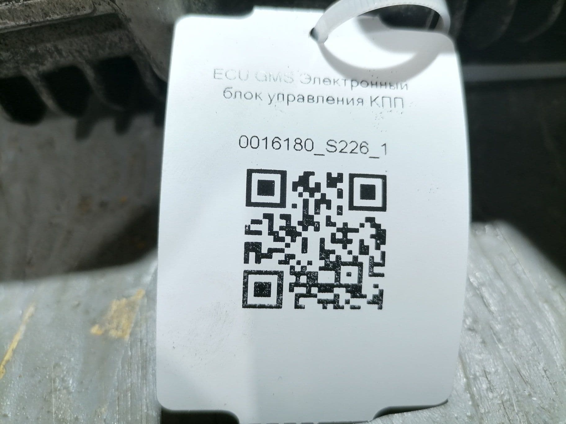 photo-1