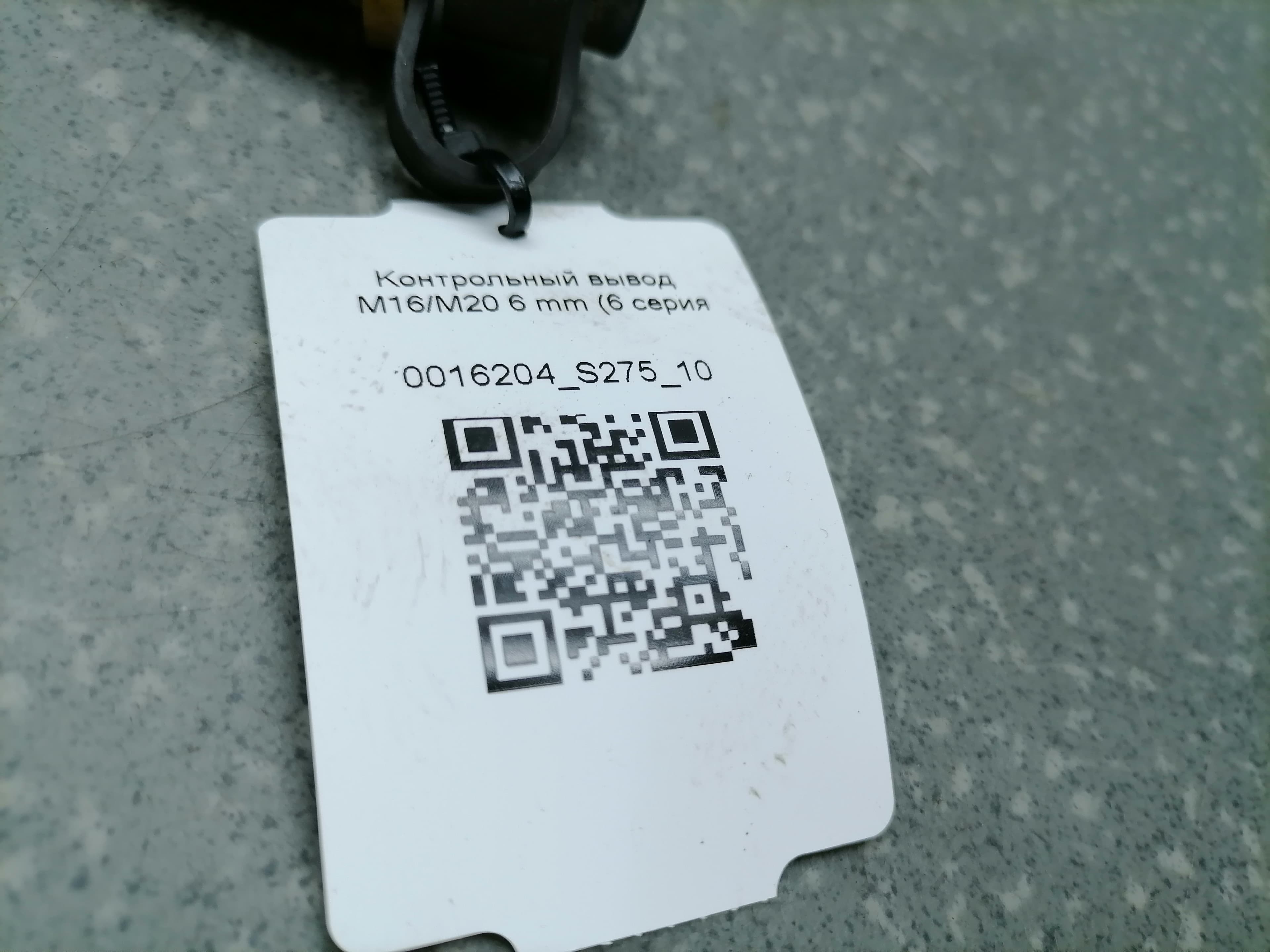 photo-1