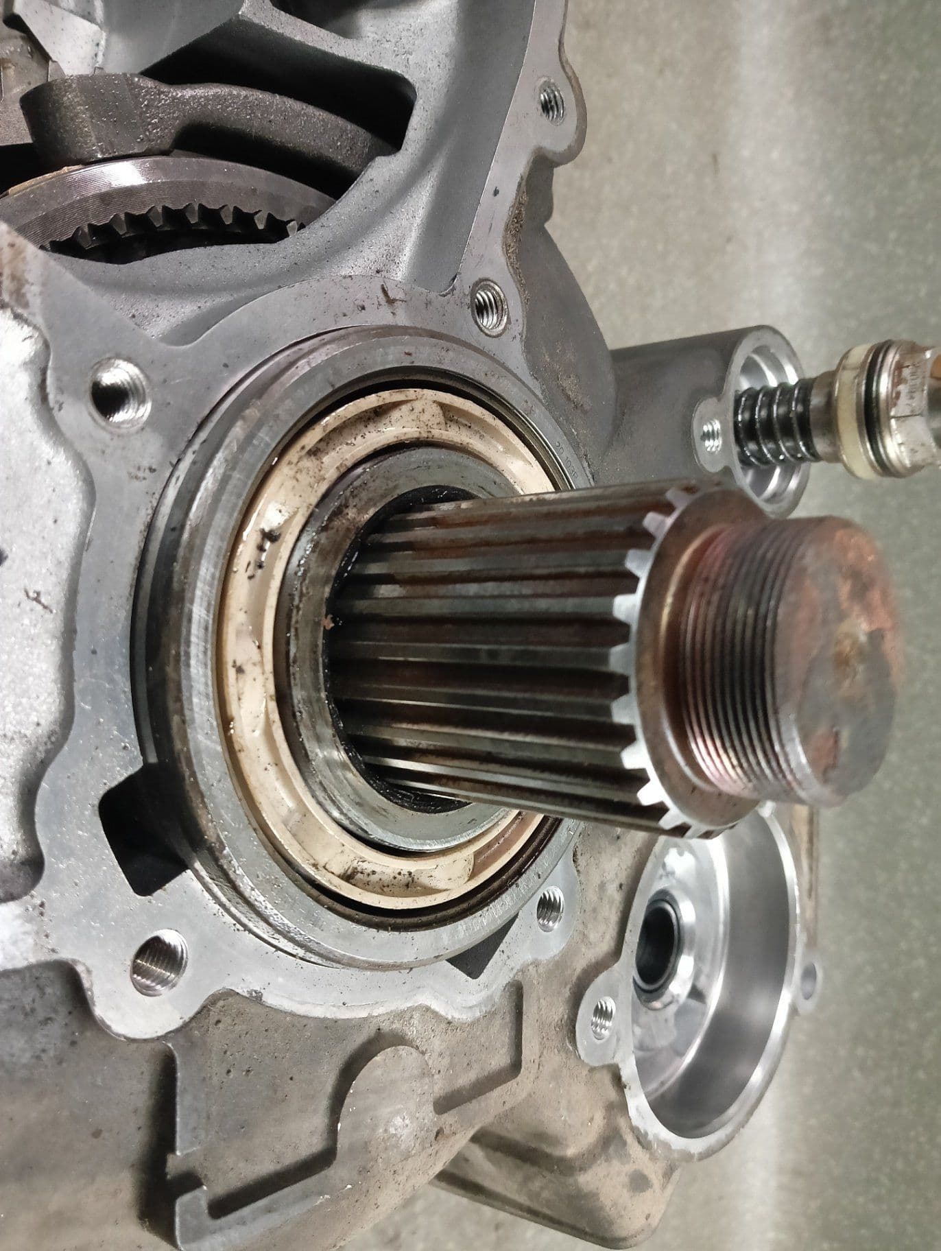 photo-1