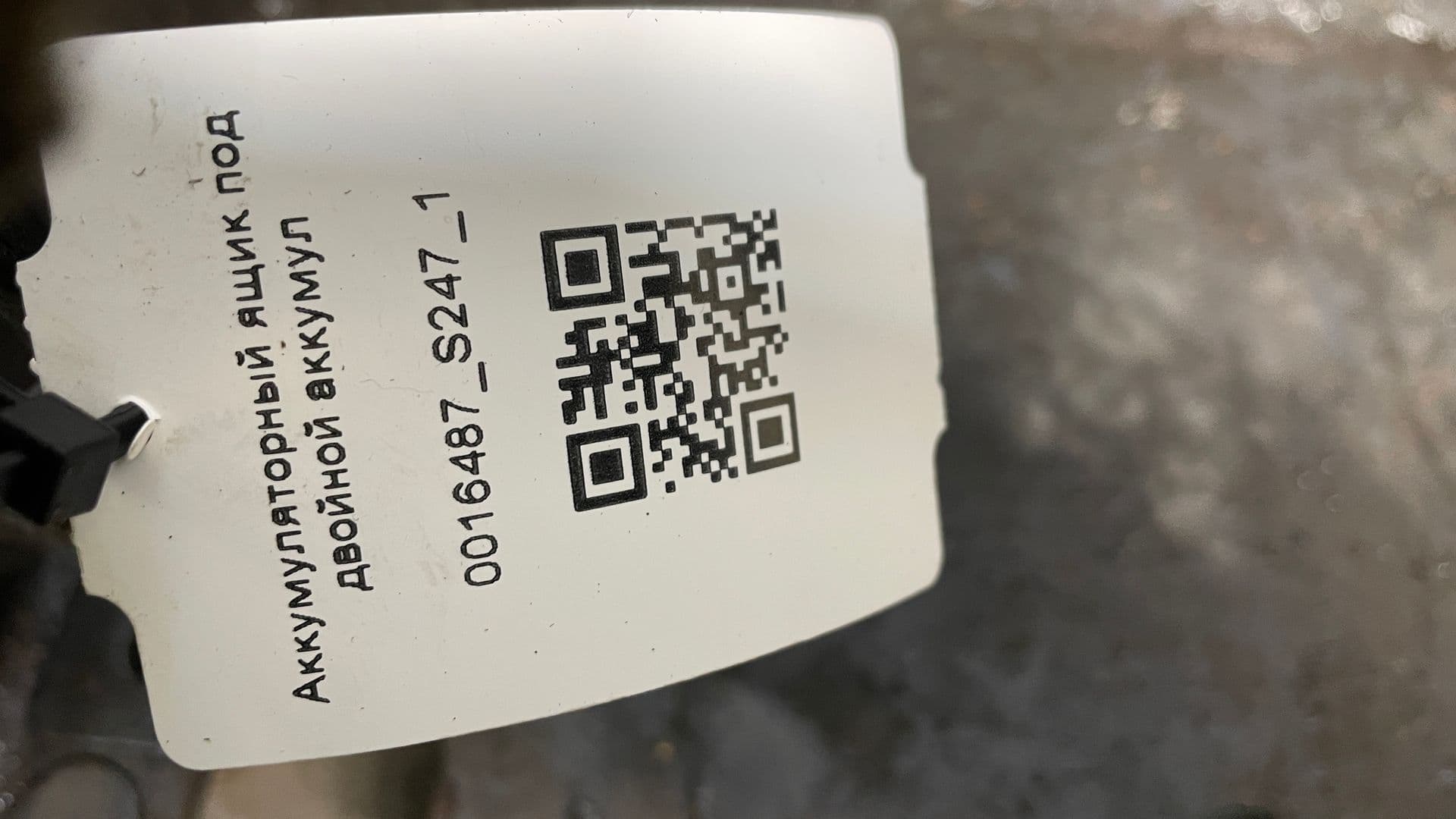 photo-1