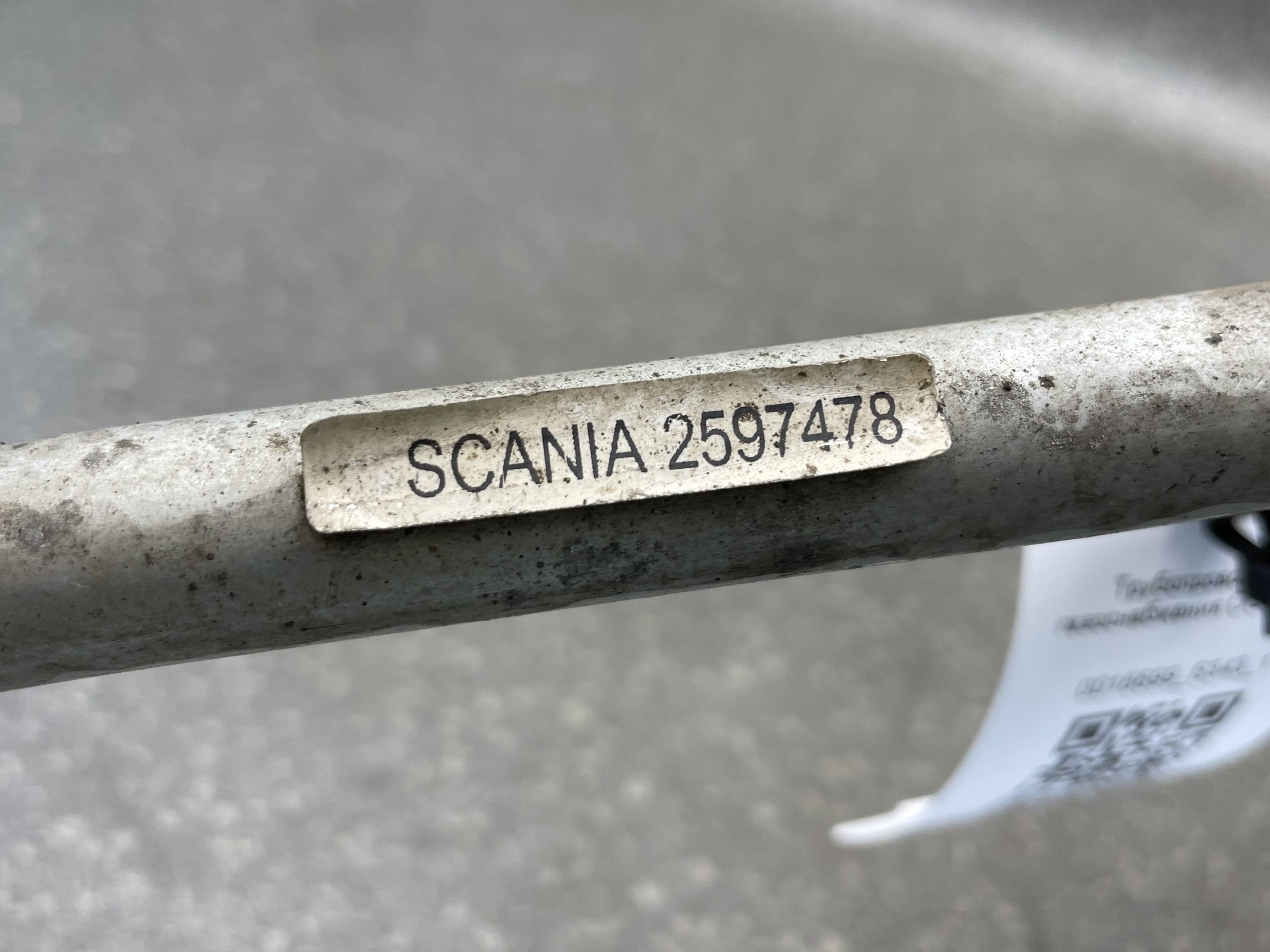 photo-4