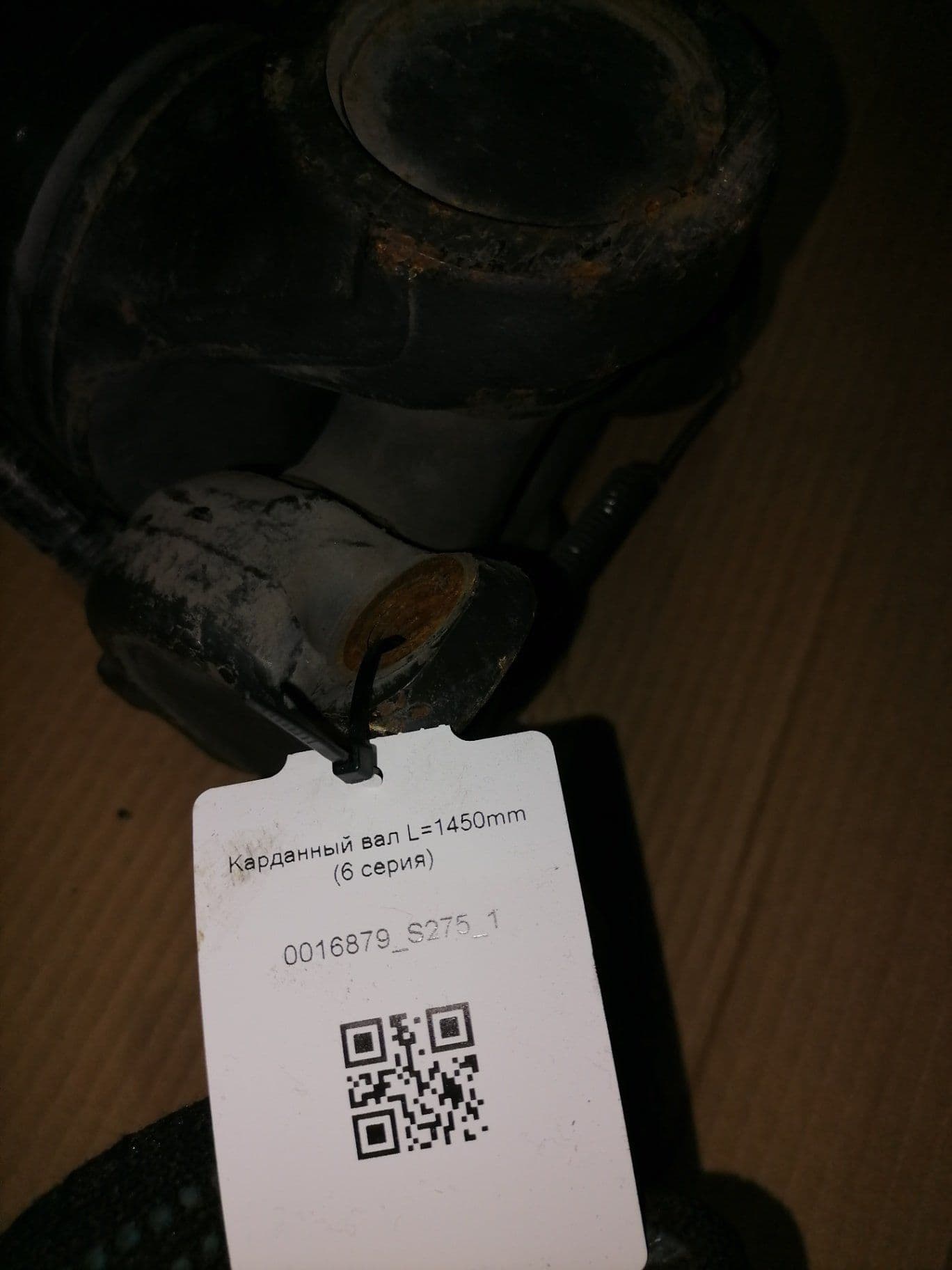 photo-1
