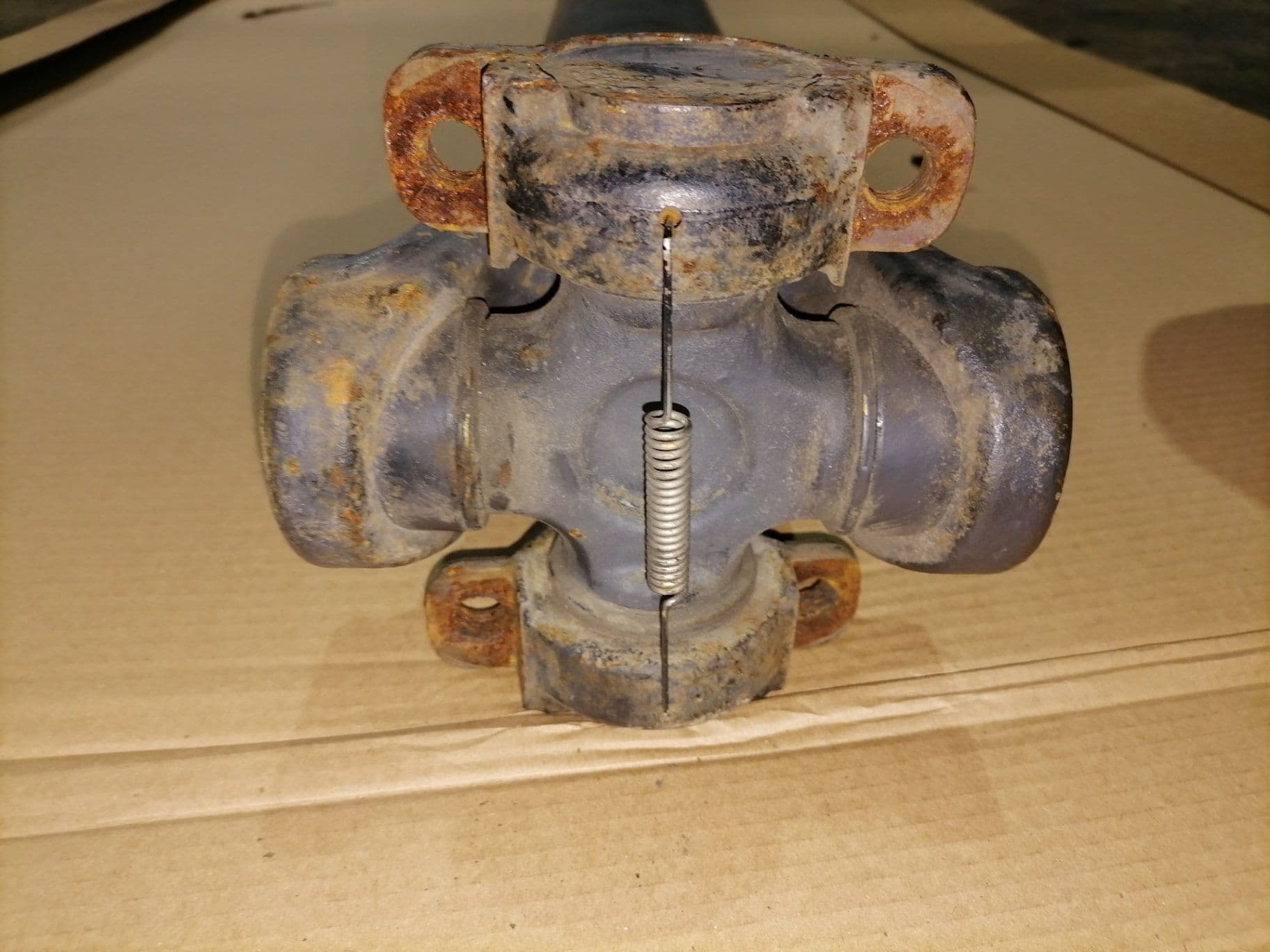 photo-10
