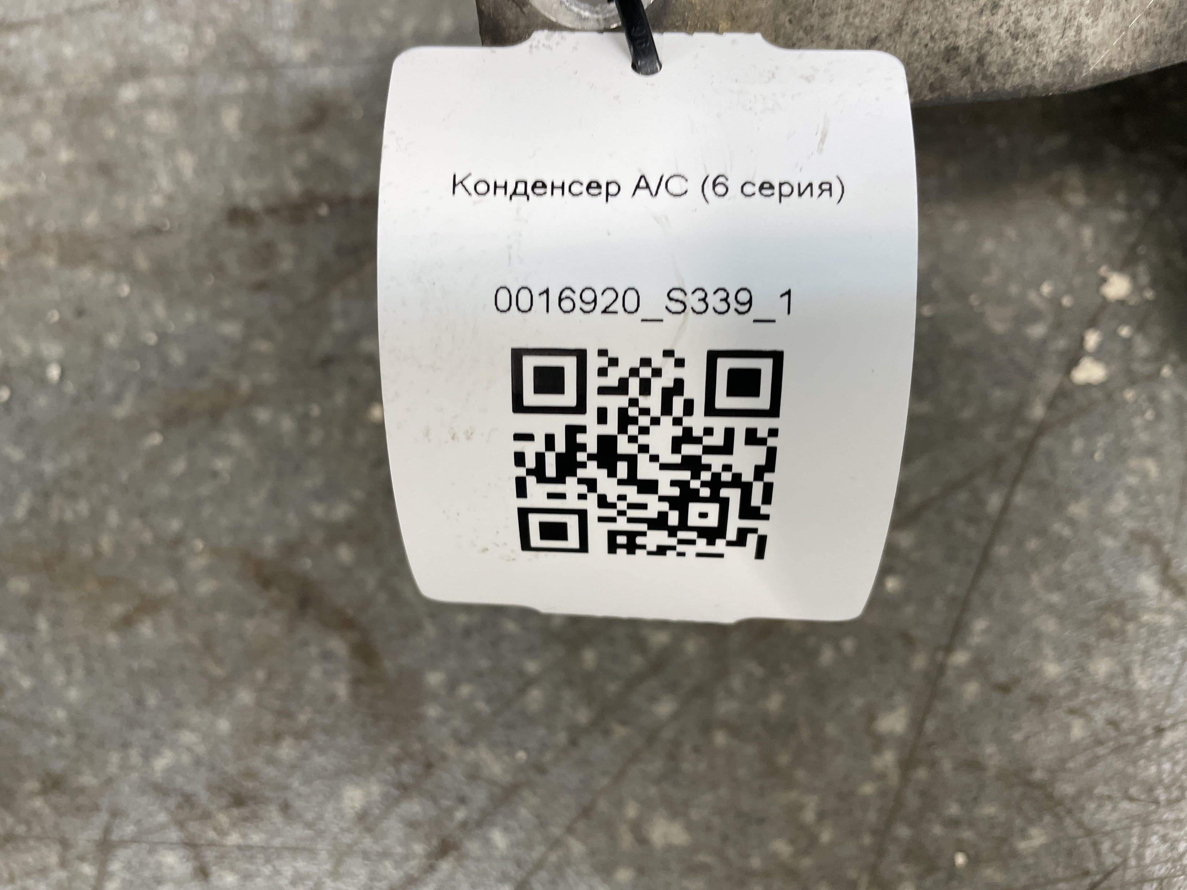photo-5