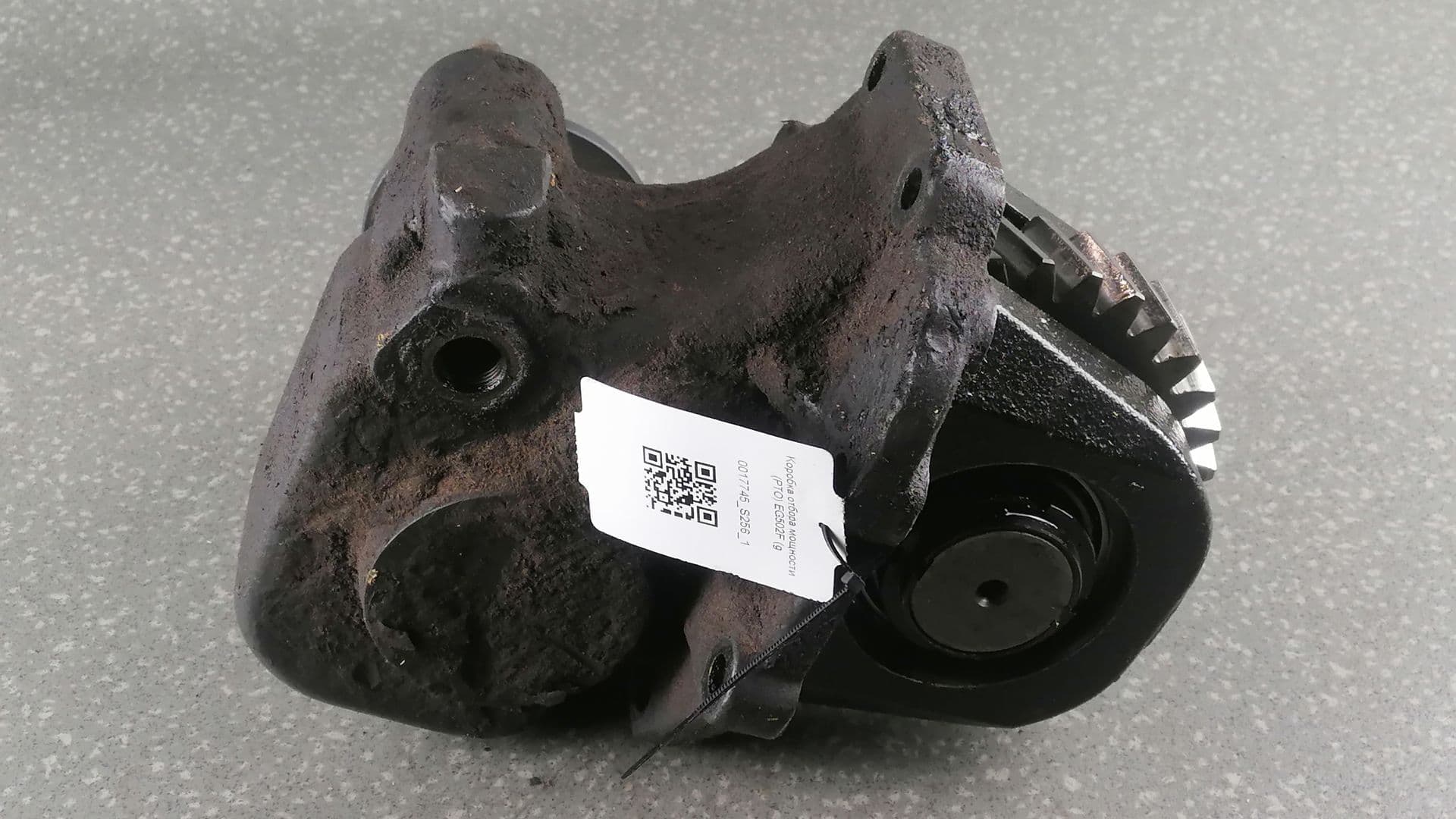 photo-1