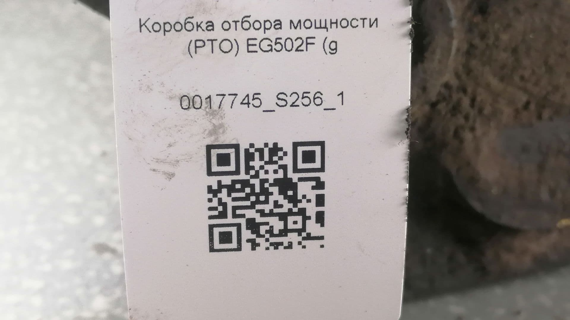 photo-3
