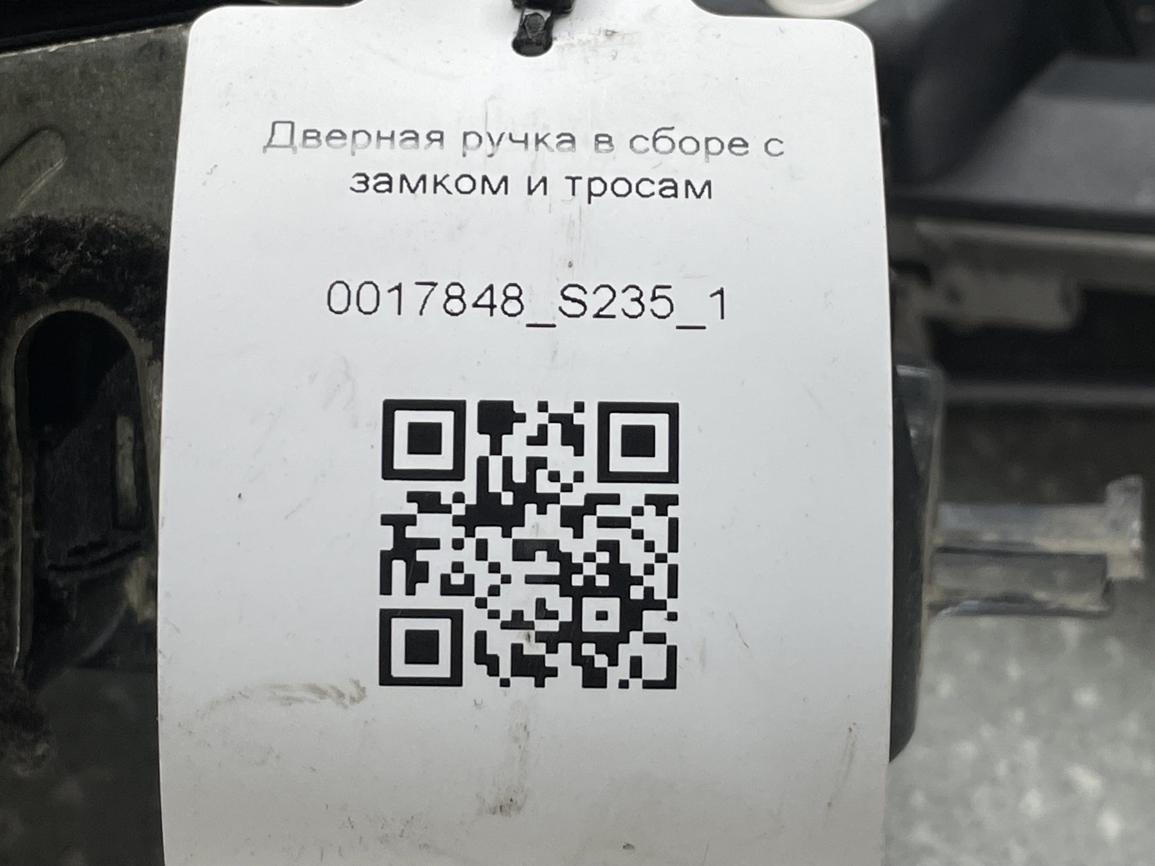 photo-7