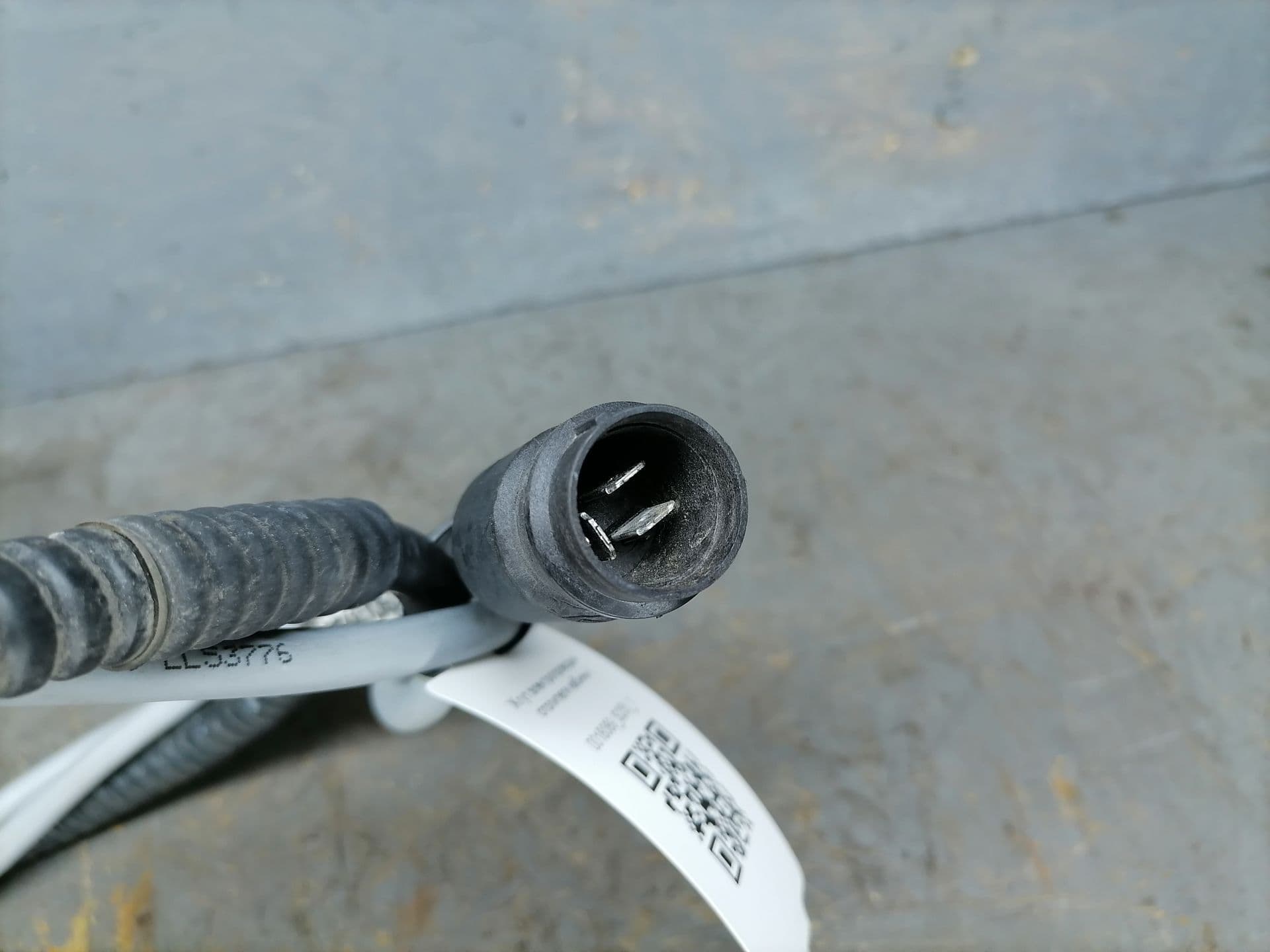 photo-1