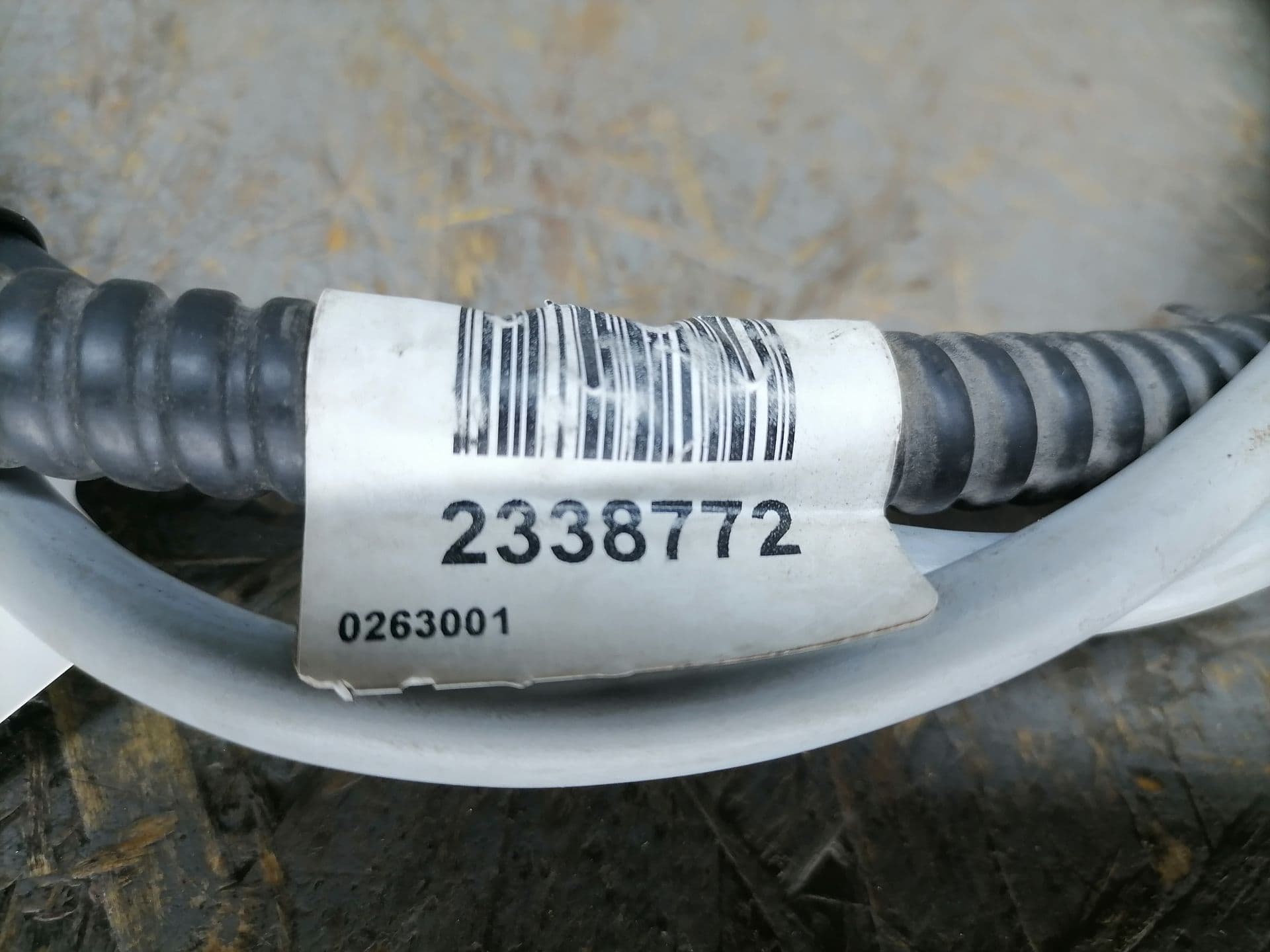 photo-3