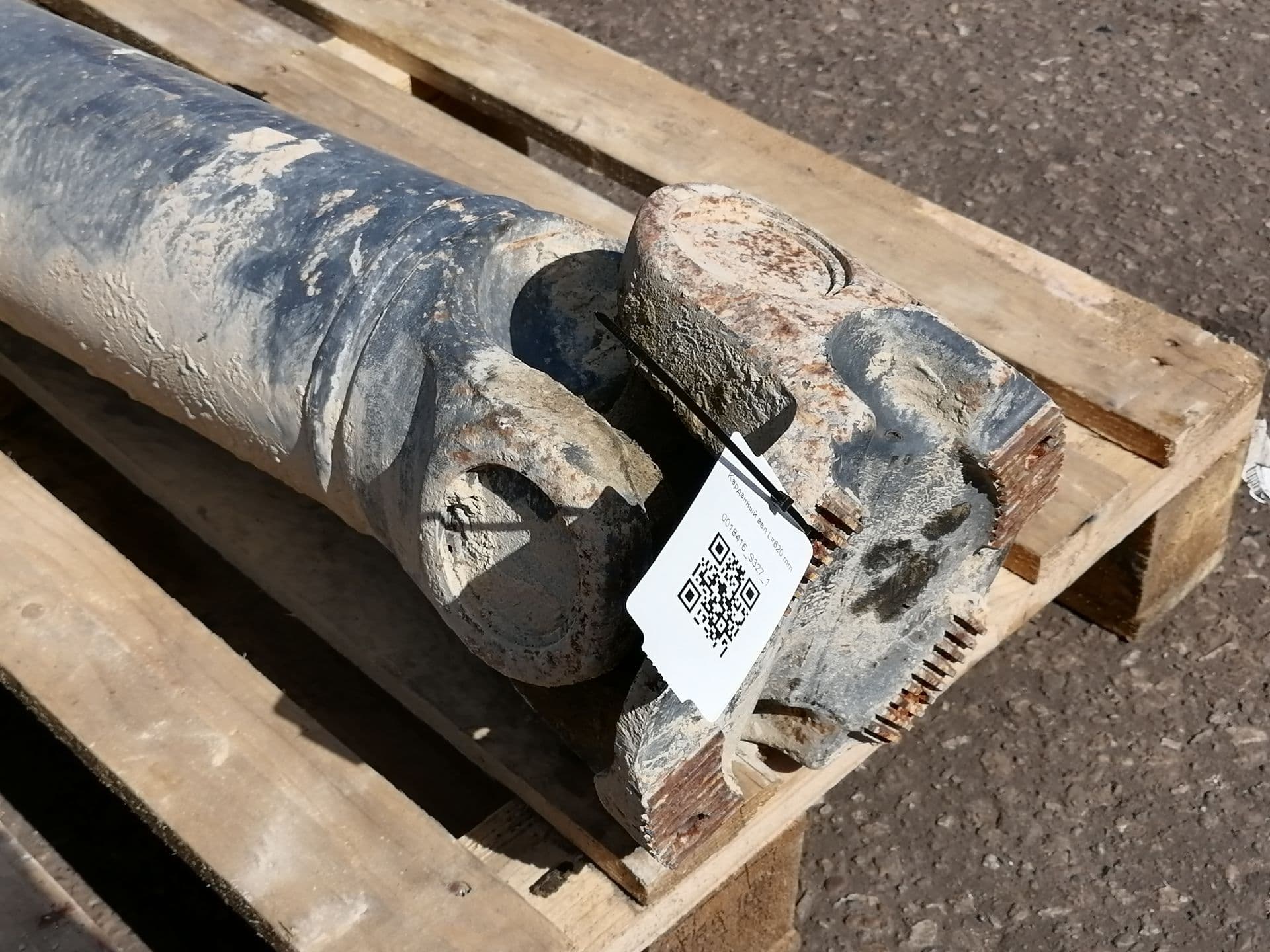 photo-1