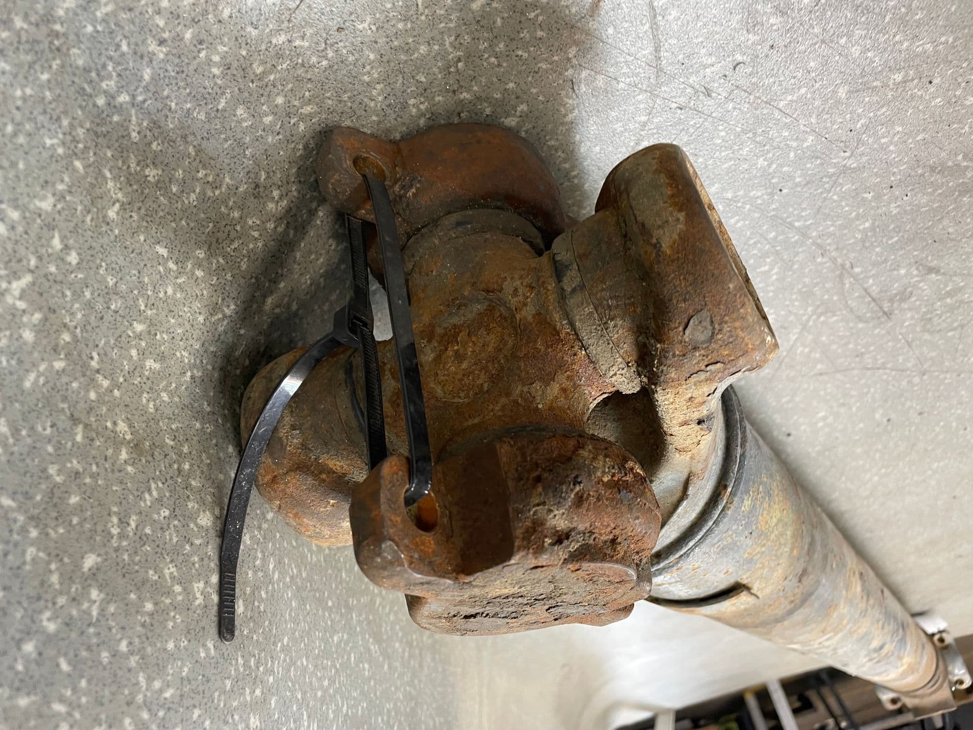 photo-1