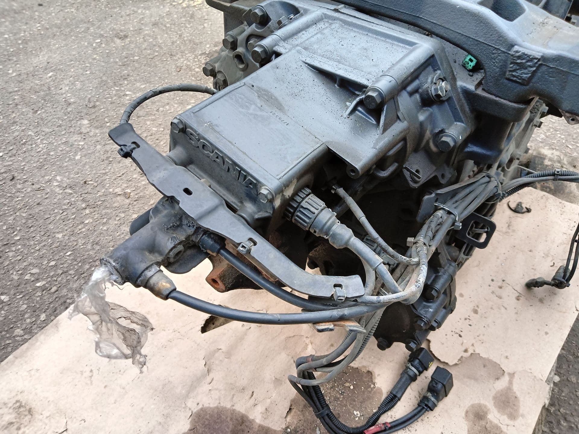 photo-19
